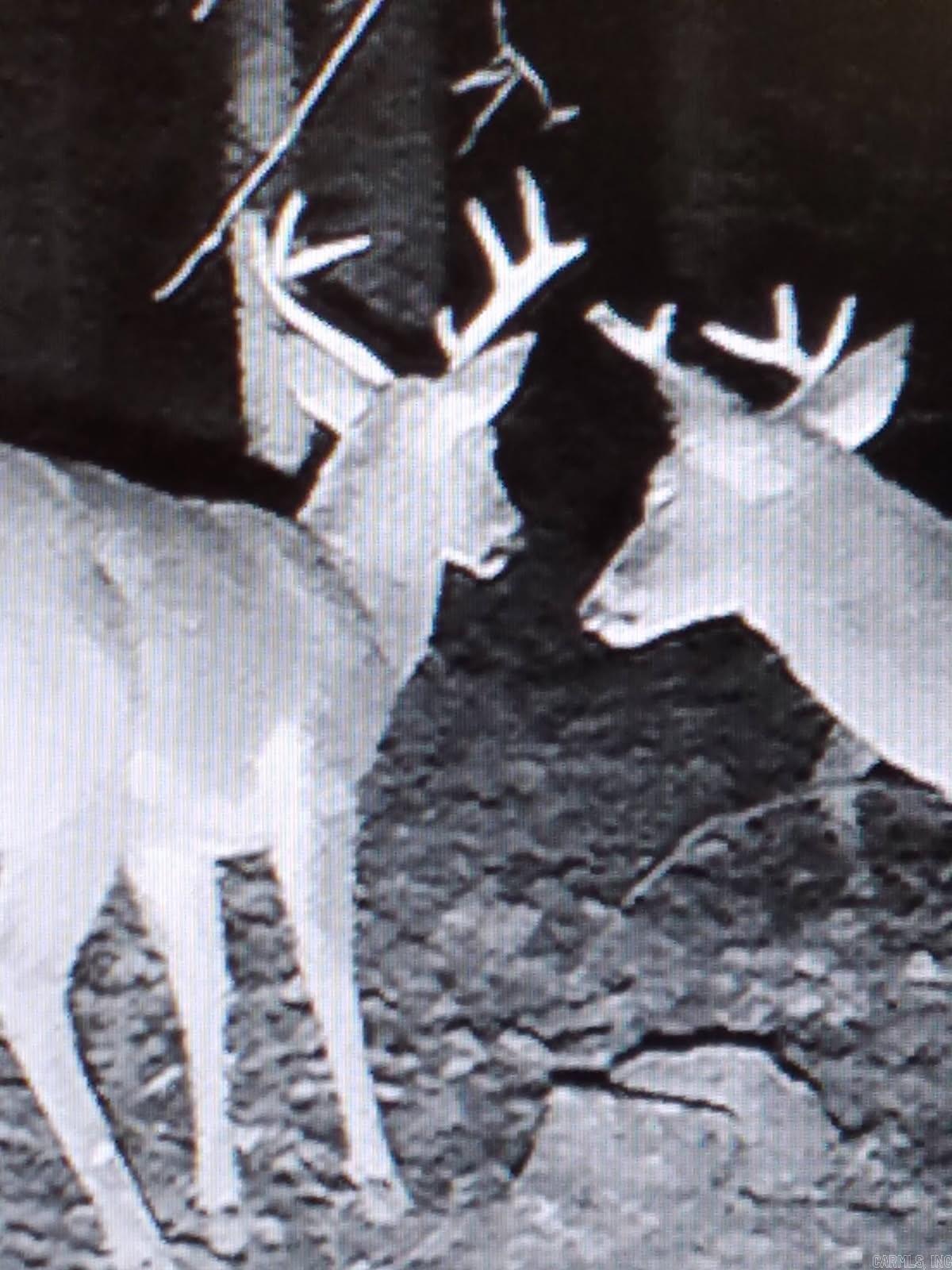 2882 Porter  Shirley, AR