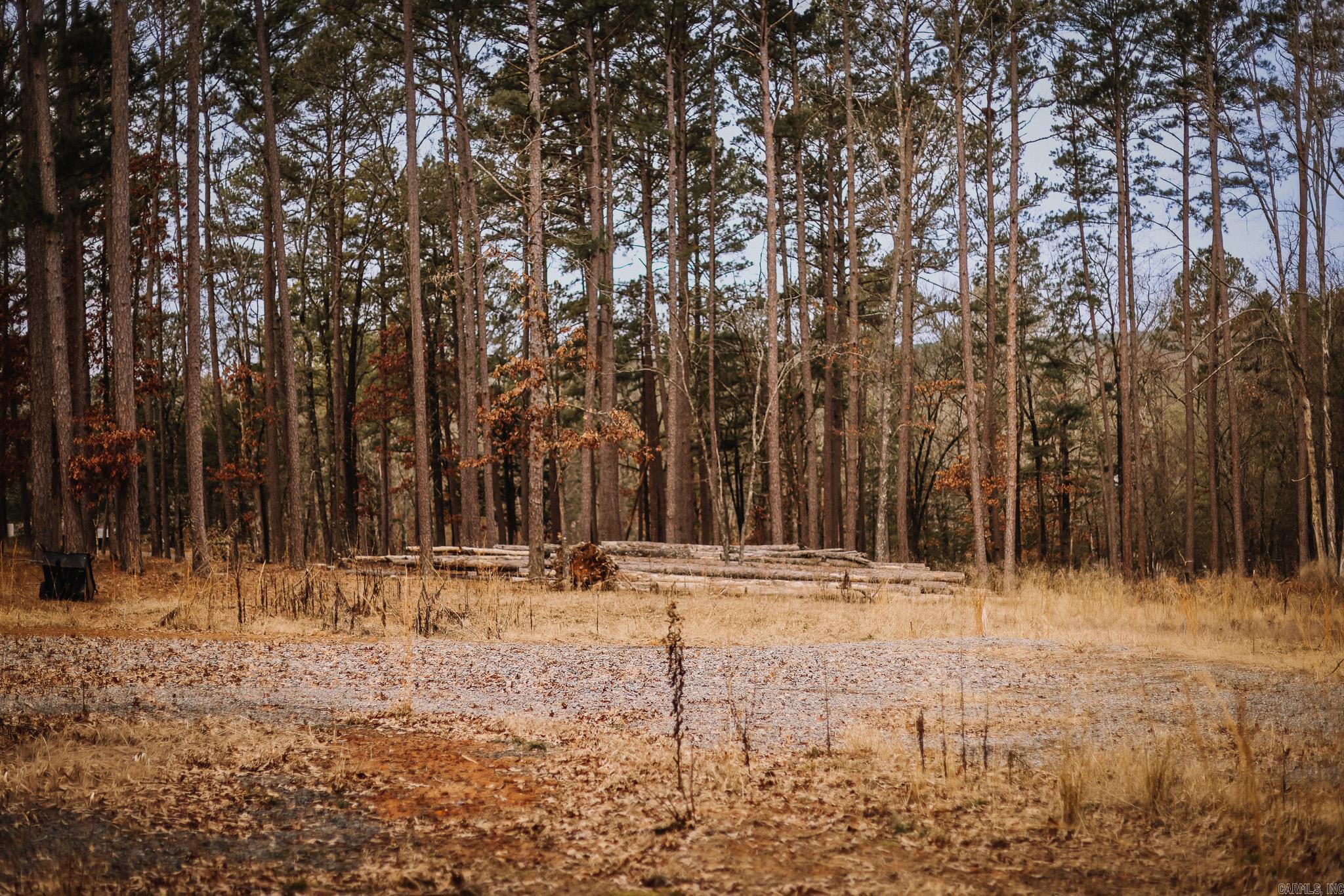 149 View  Shirley, AR