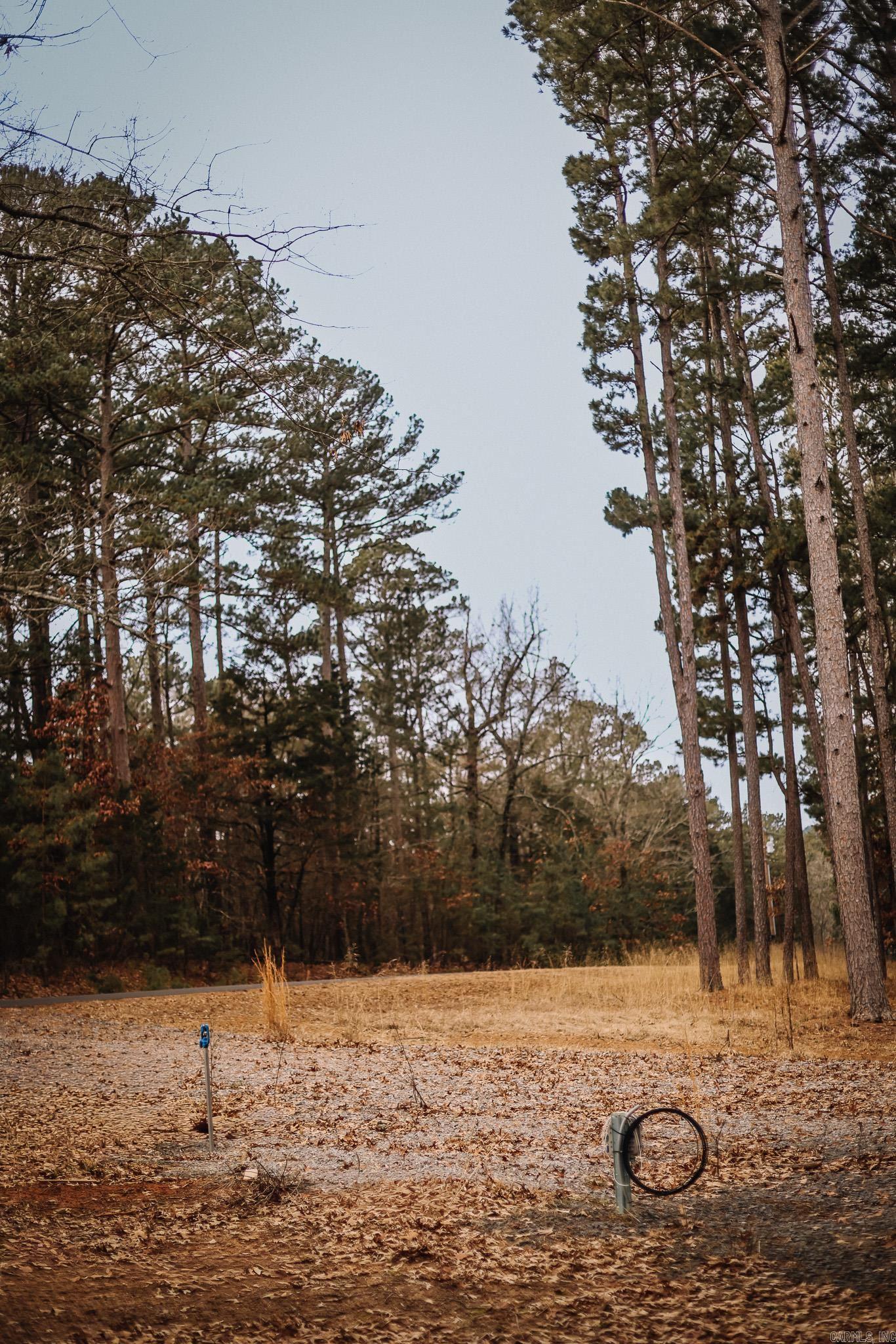 149 View  Shirley, AR