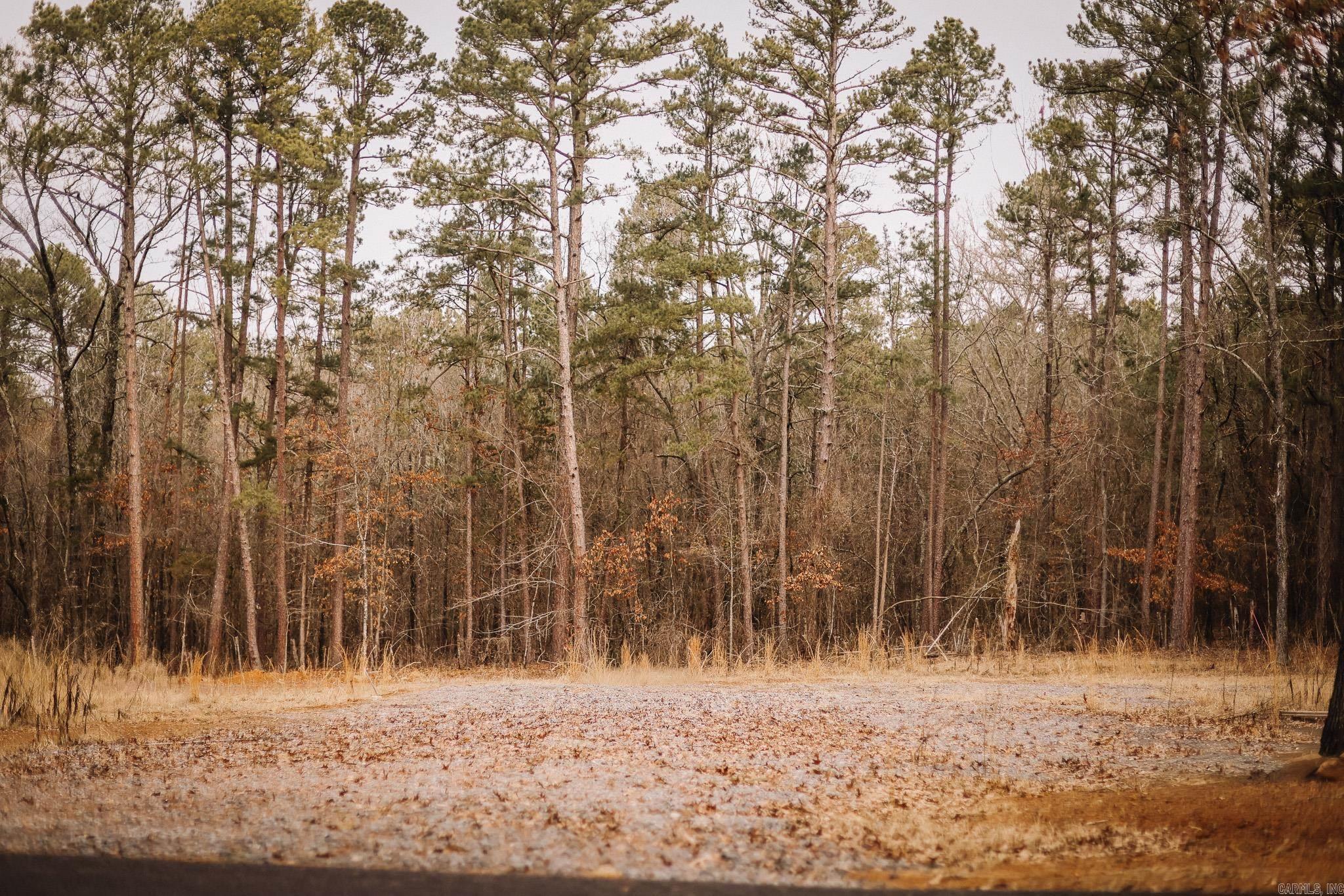 149 View  Shirley, AR