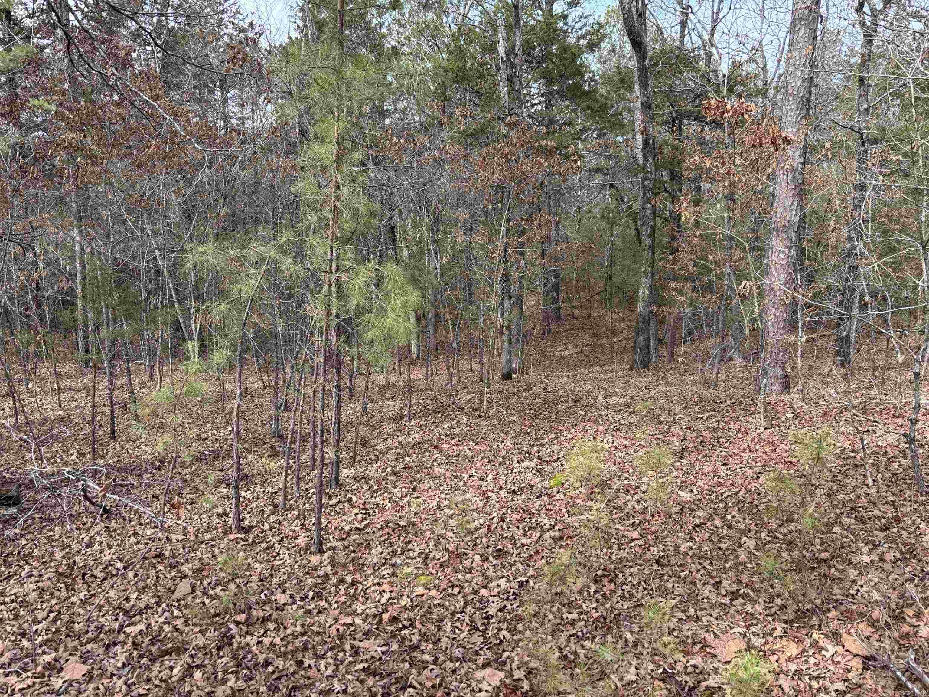 00 Pinewood  Clinton, AR