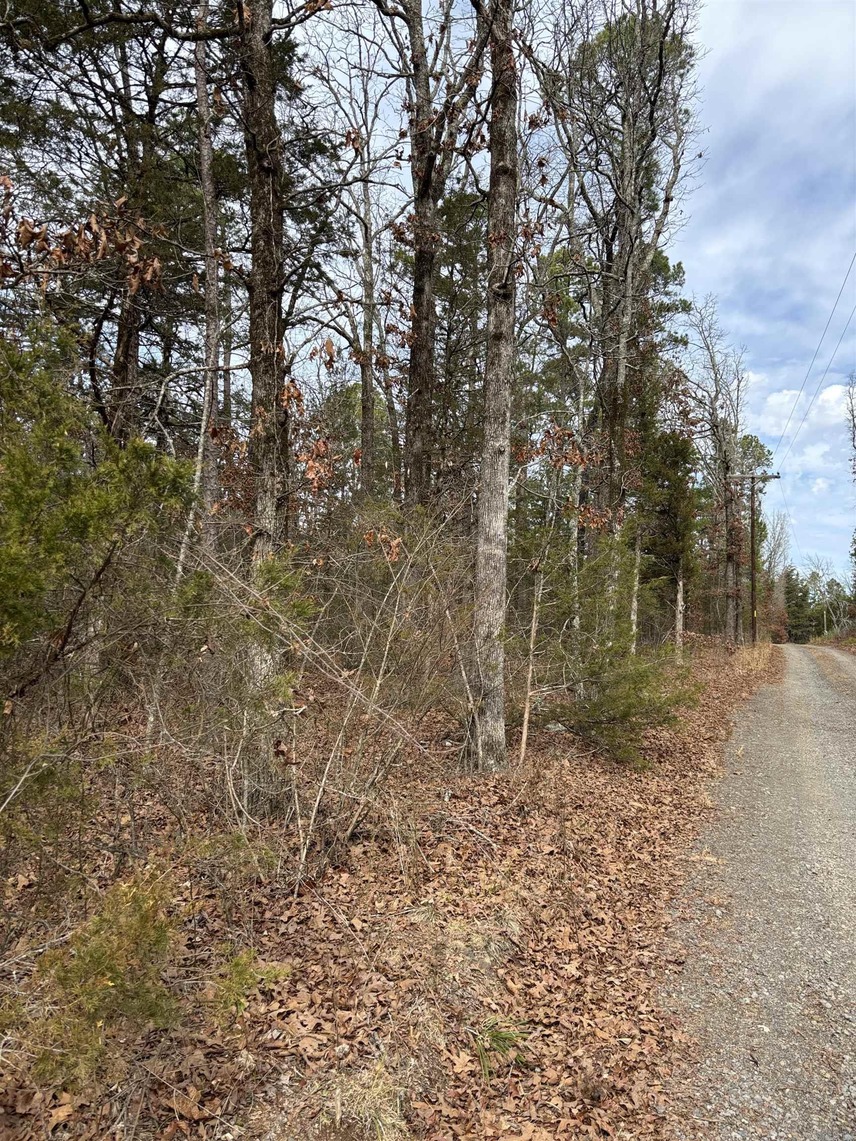 00 Pinewood  Clinton, AR