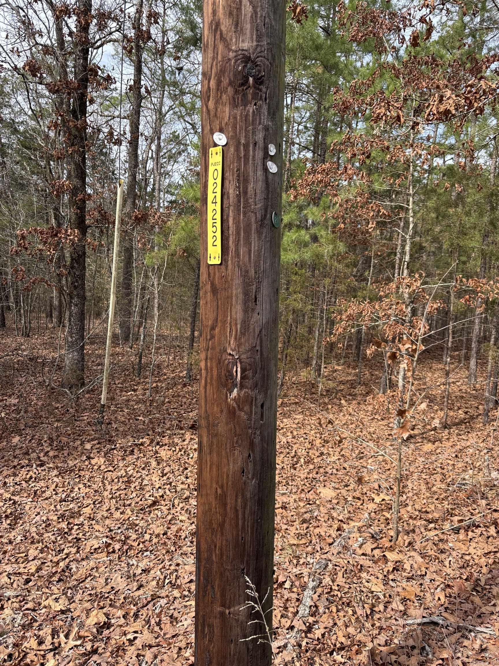 00 Pinewood  Clinton, AR