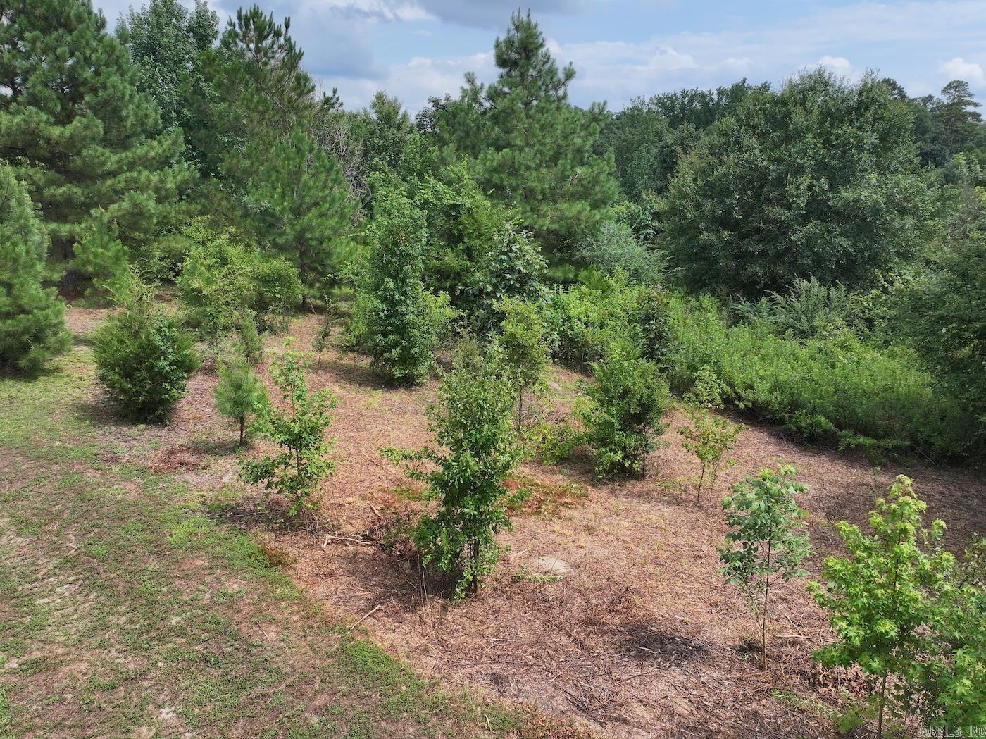 TBD EBENEZER  Amity, AR