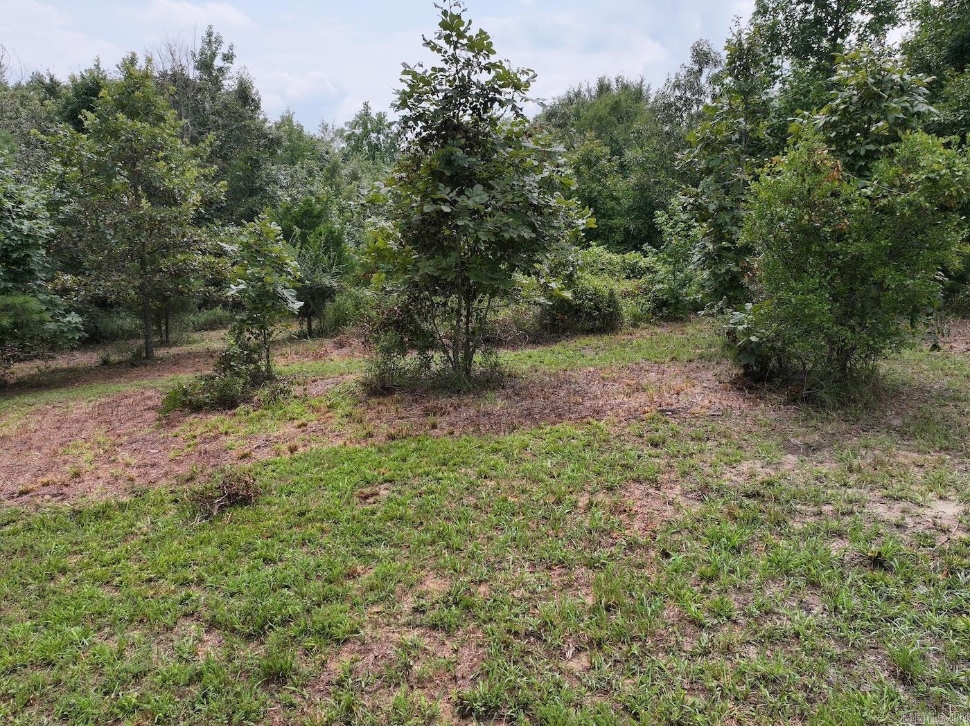 TBD EBENEZER  Amity, AR