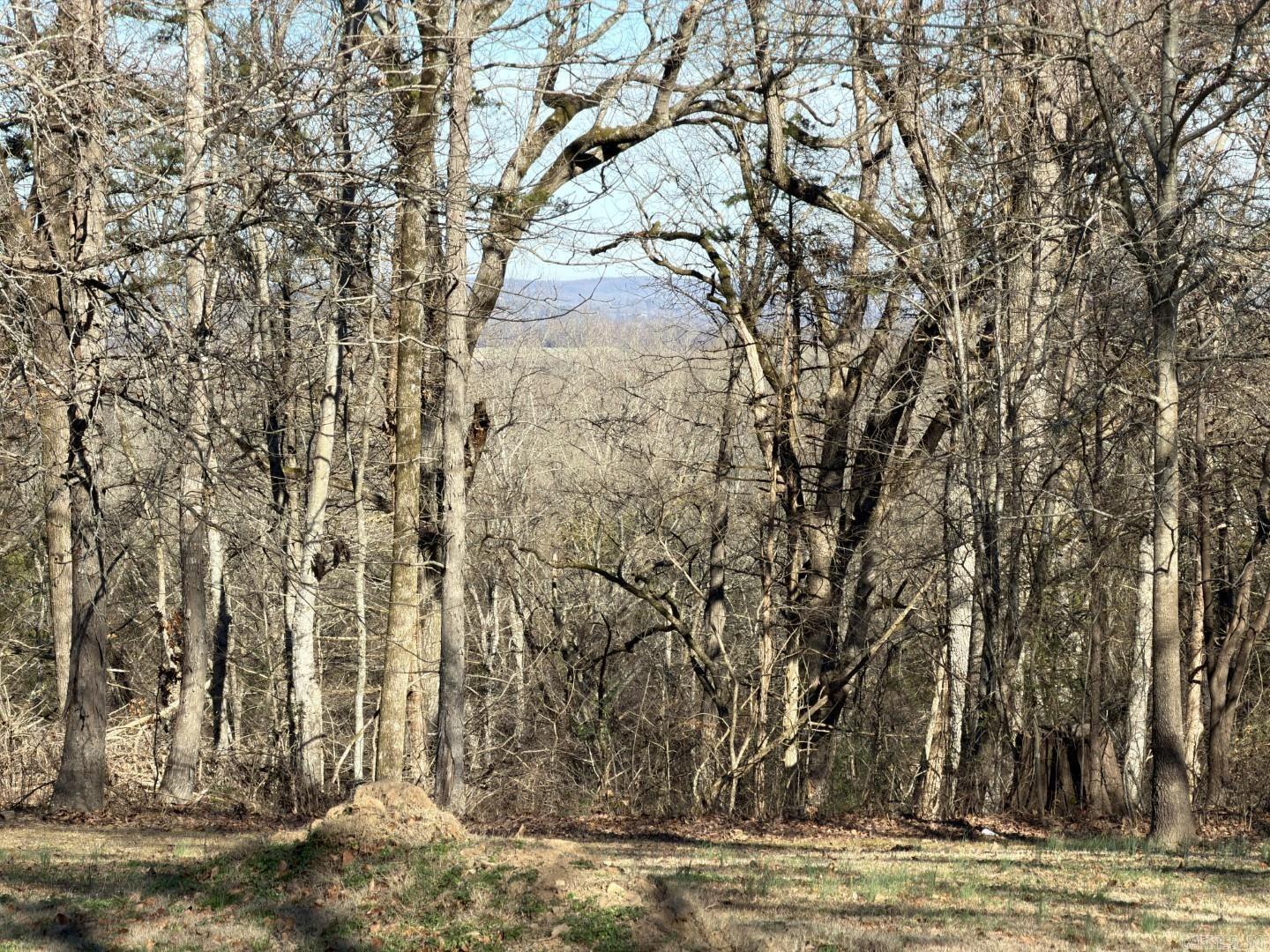 65 Jeffery cutoff  Locust Grove, AR