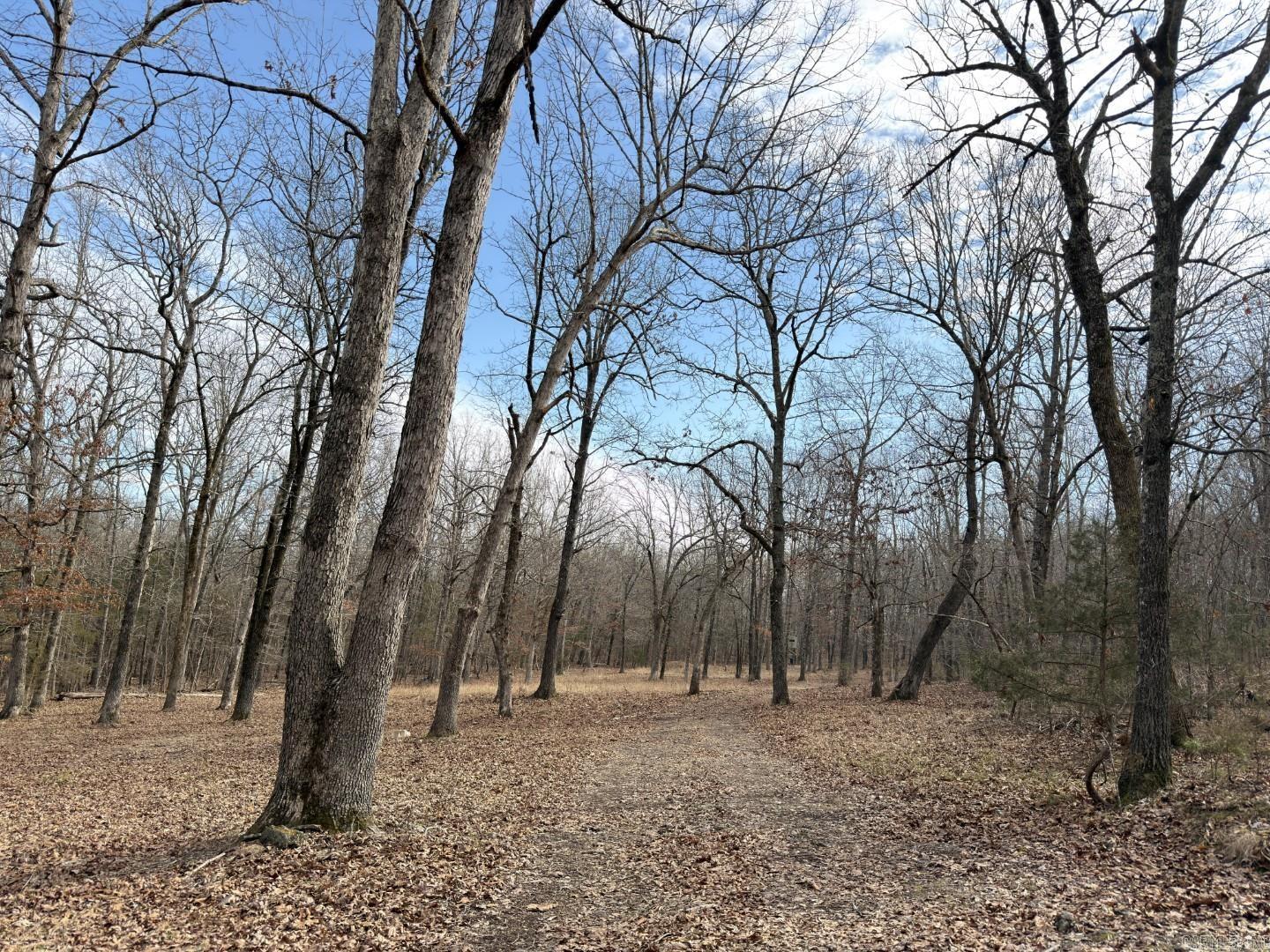 315 Northwoods  Cave City, AR