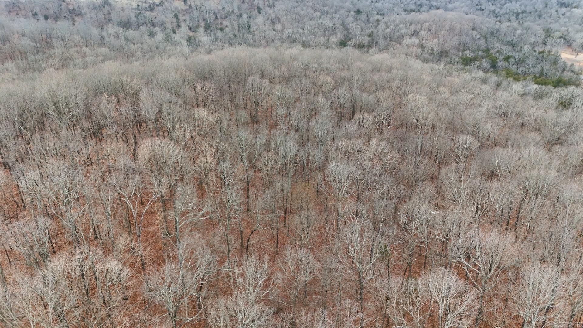 315 Northwoods  Cave City, AR