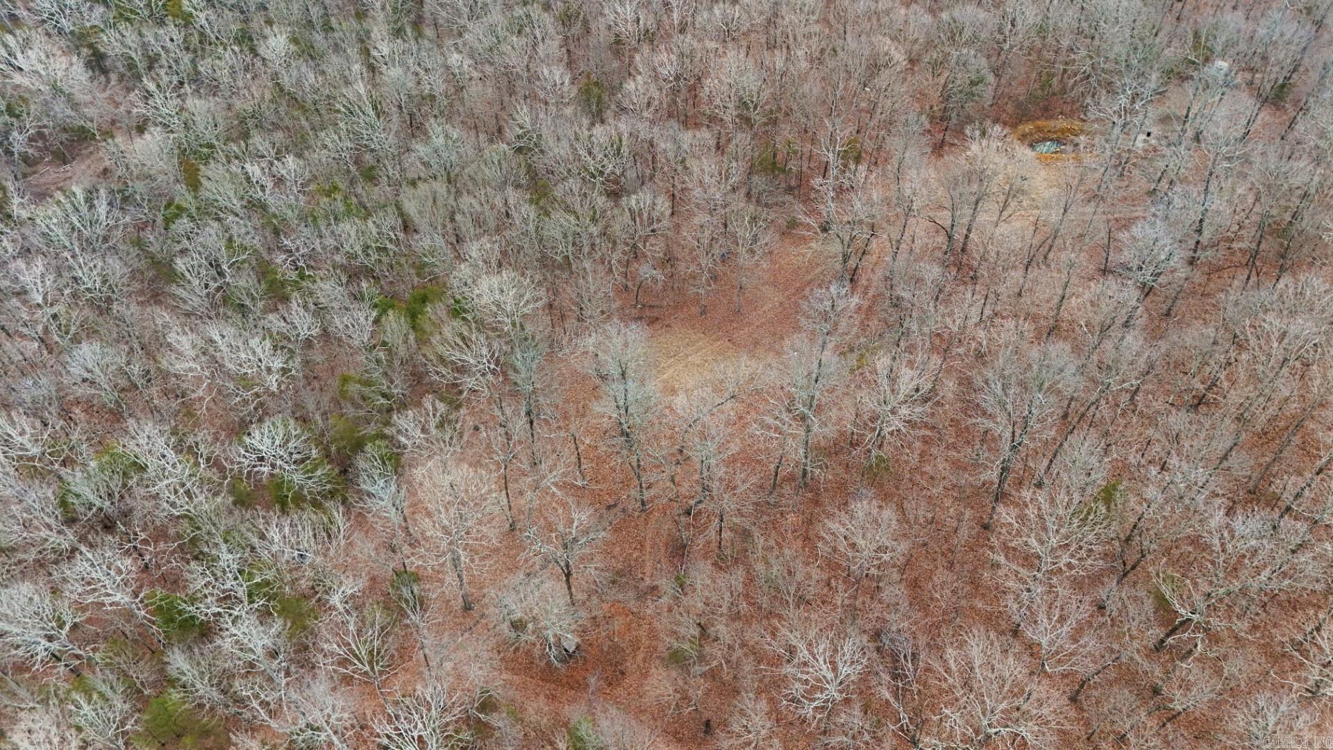 315 Northwoods  Cave City, AR