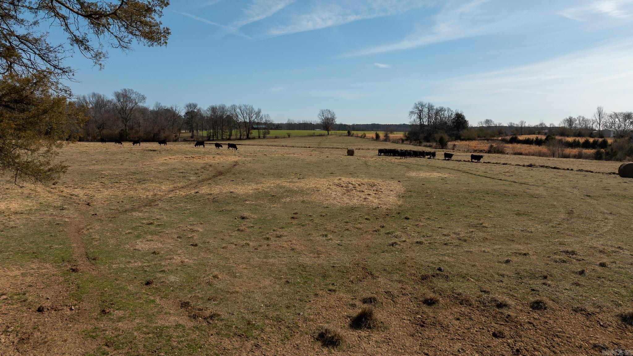 000 Turner Rd.  Rose Bud, AR