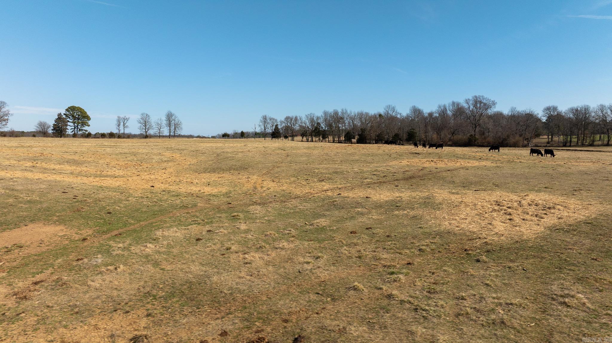 000 Turner Rd.  Rose Bud, AR