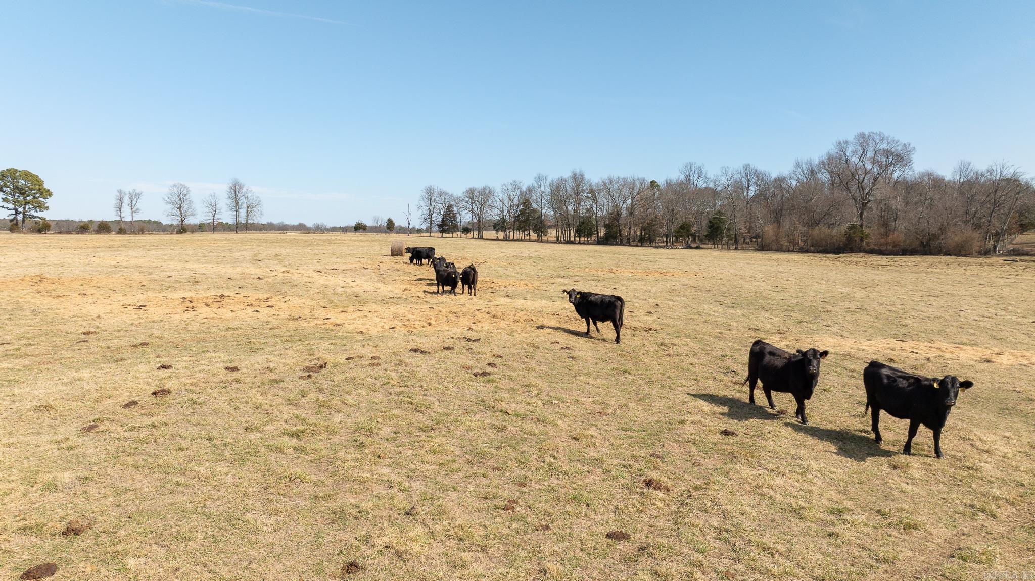 000 Turner Rd.  Rose Bud, AR