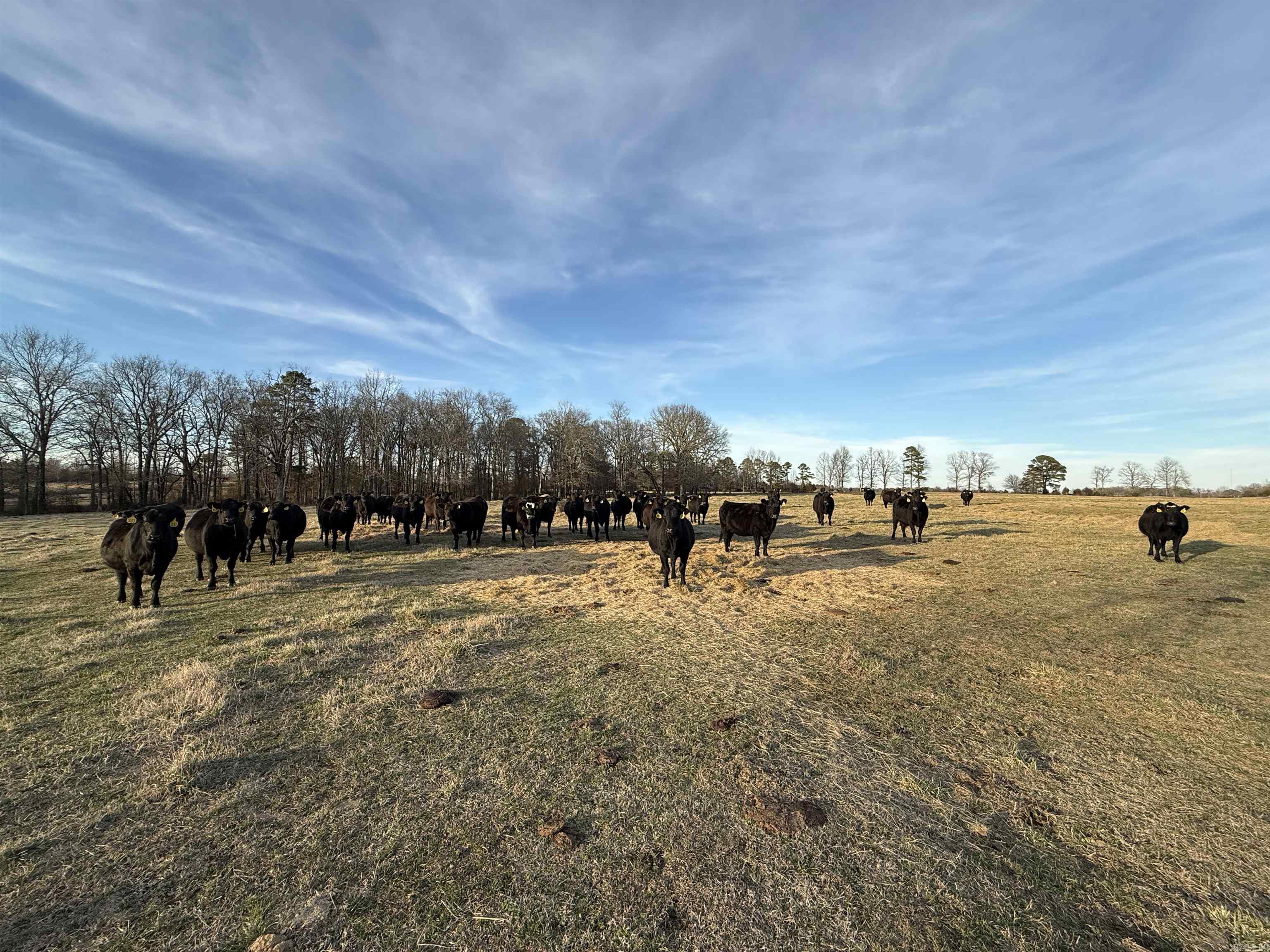 000 Turner Rd.  Rose Bud, AR