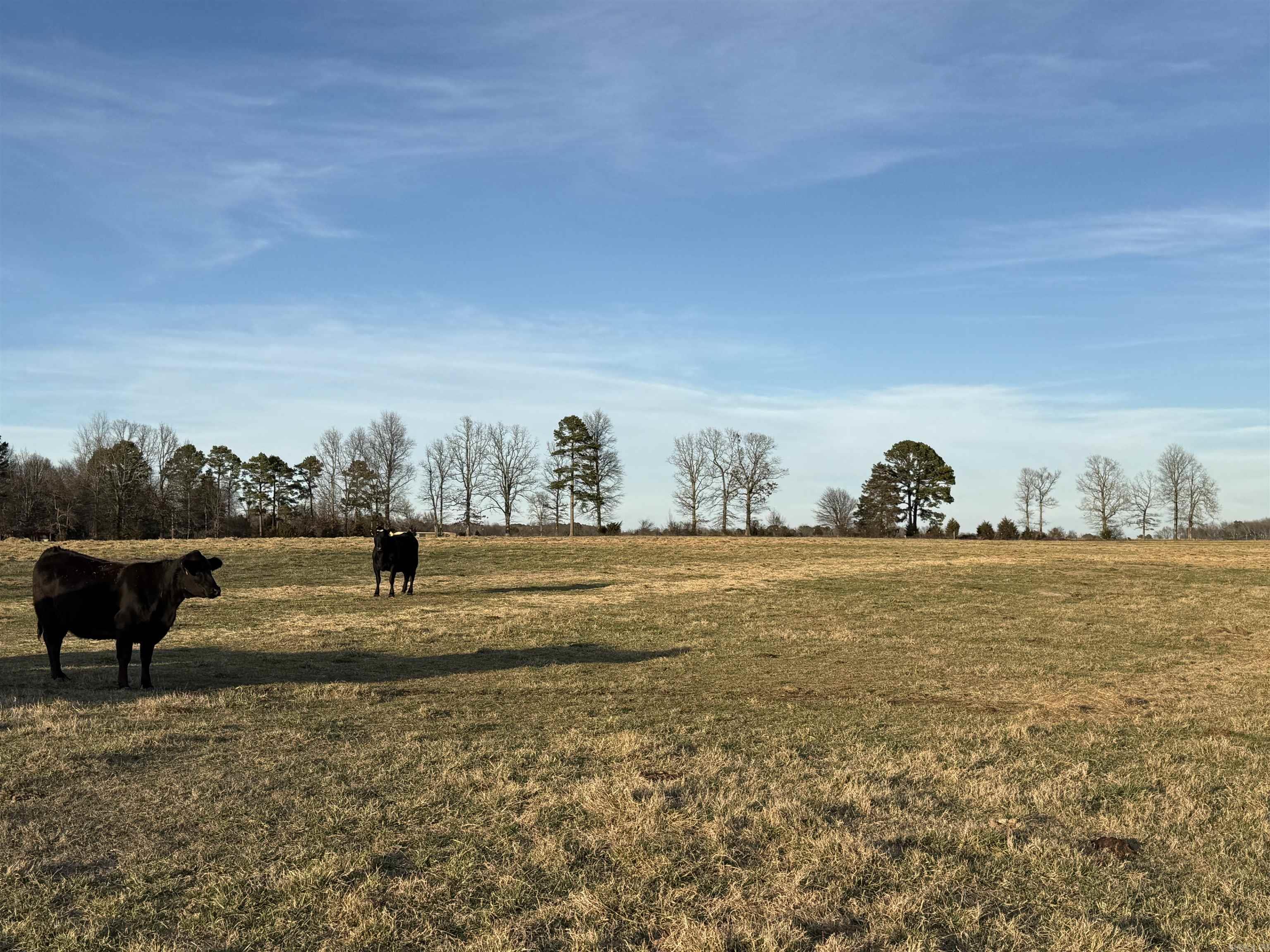 000 Turner Rd.  Rose Bud, AR