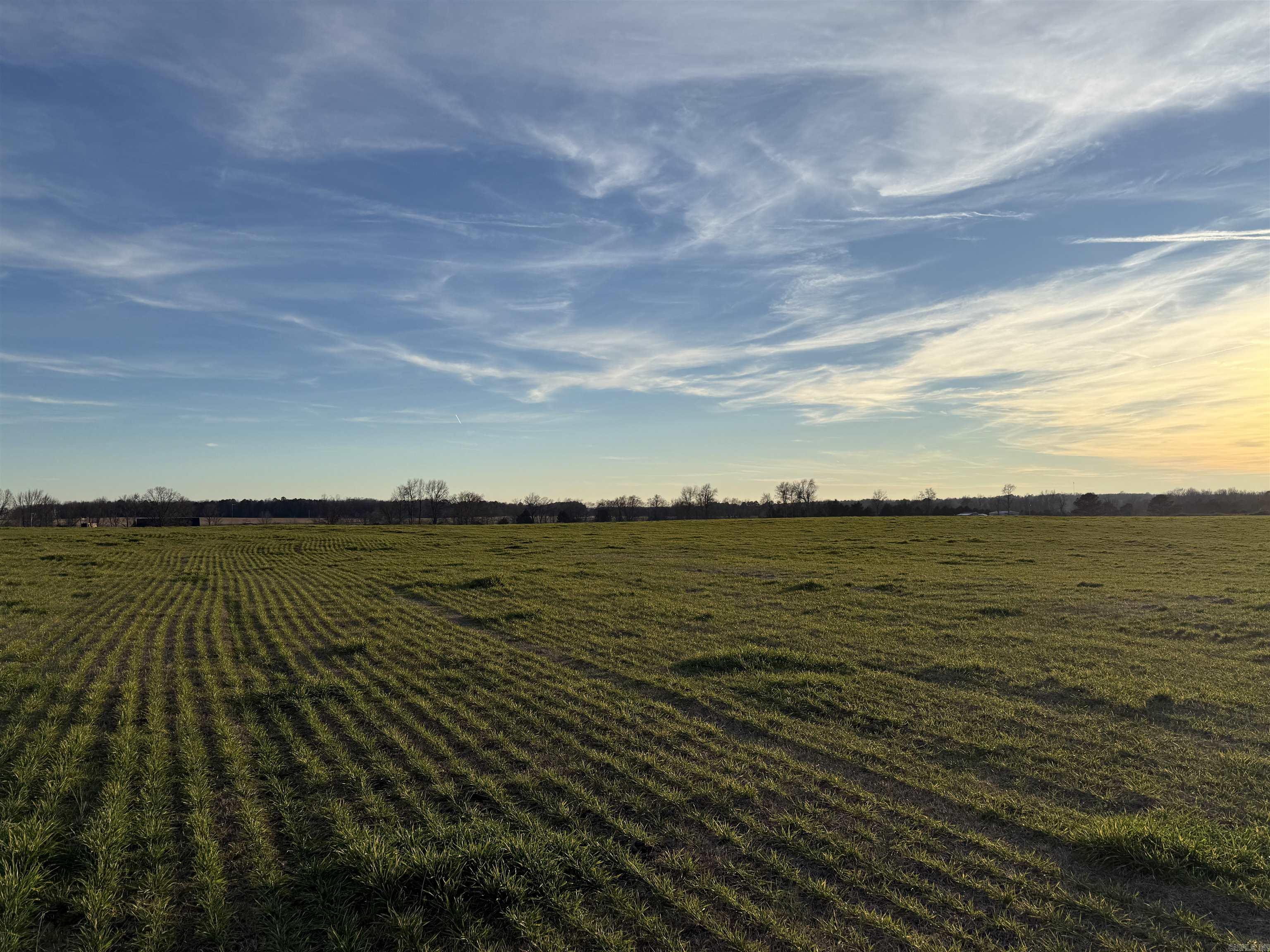 000 Carter Rd.  Rose Bud, AR
