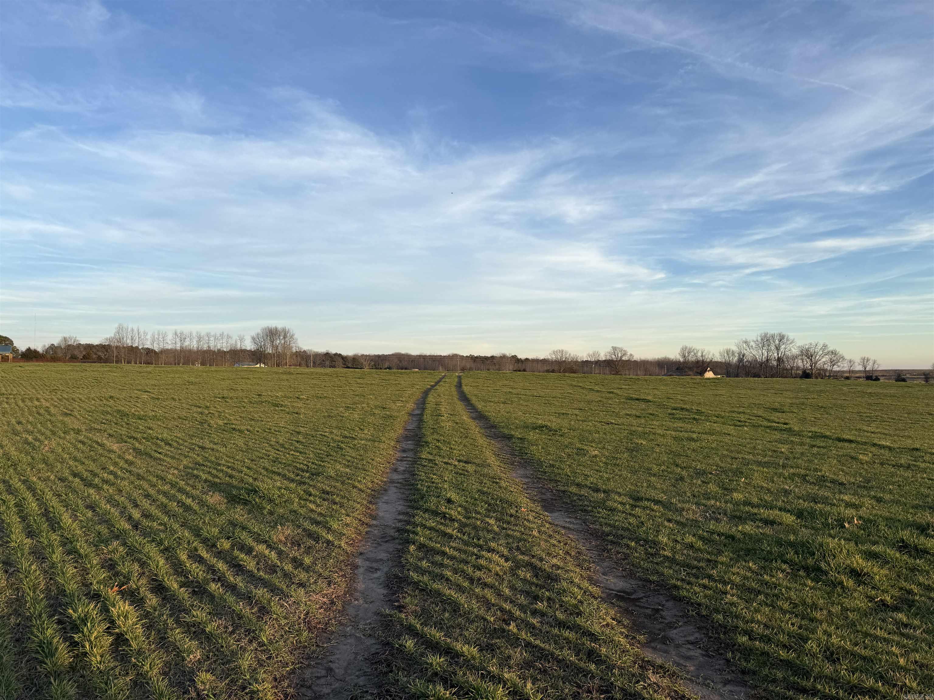 000 Carter Rd.  Rose Bud, AR