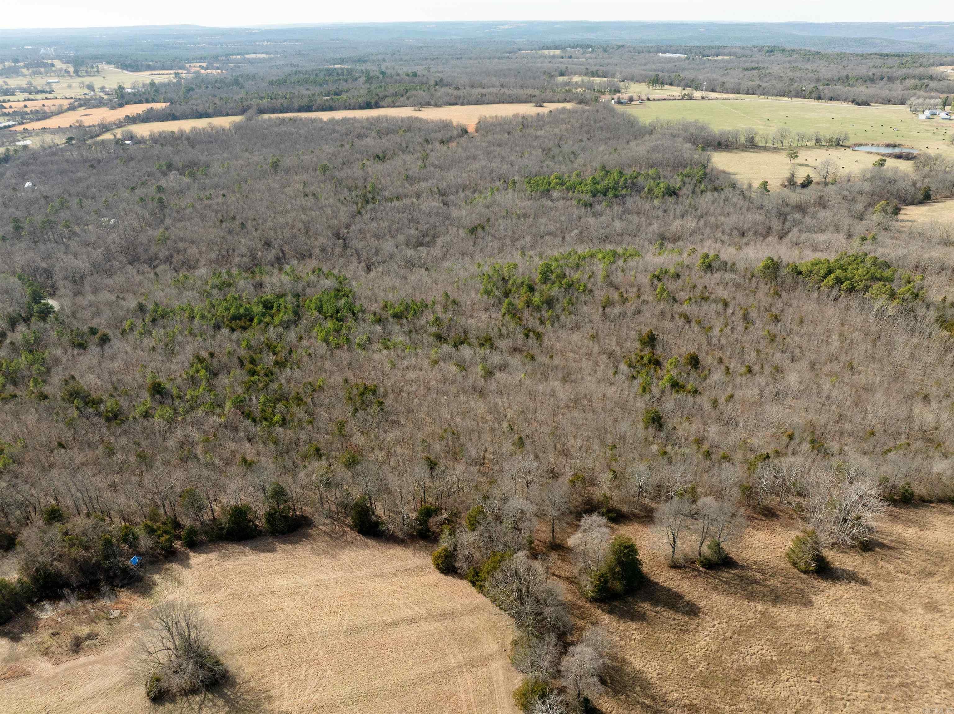 194 Kerlin Cutoff  Locust Grove, AR