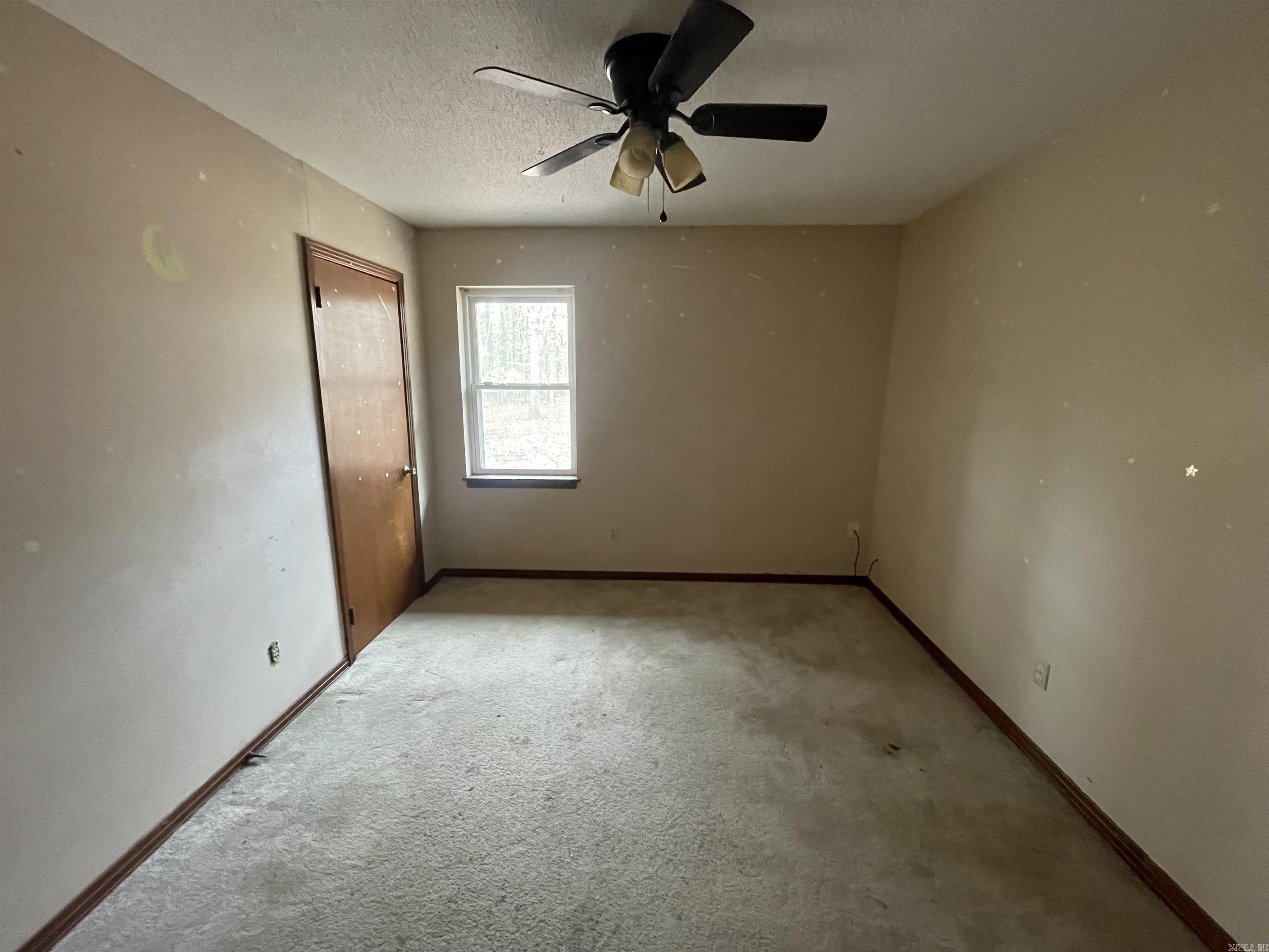 1824 Arabian  Little Rock, AR