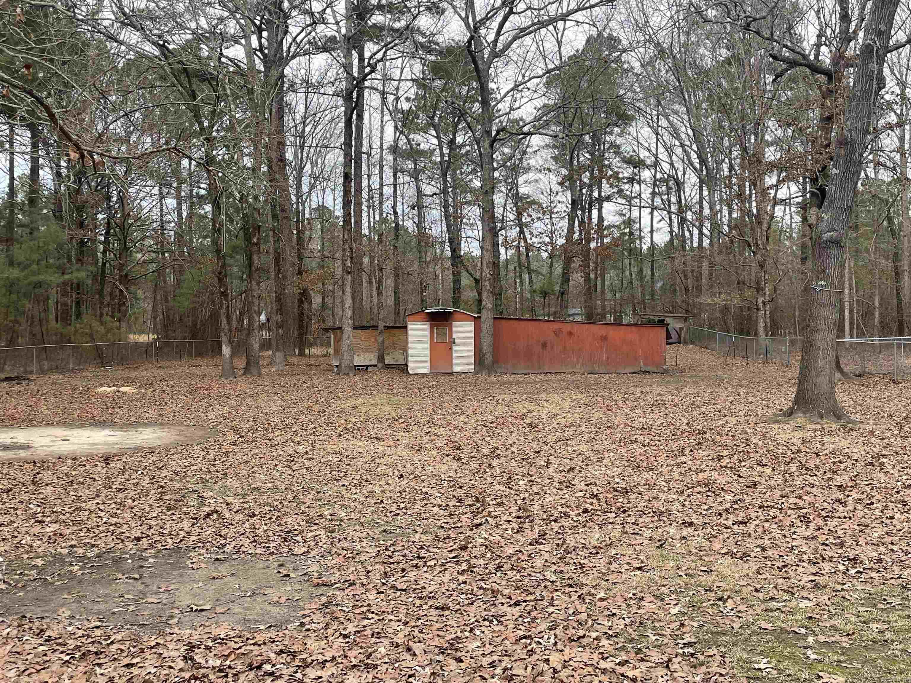 1824 Arabian  Little Rock, AR