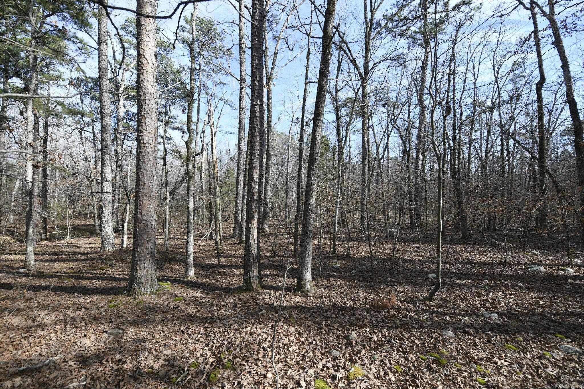 110 Moon Beam Lane  Mena, AR