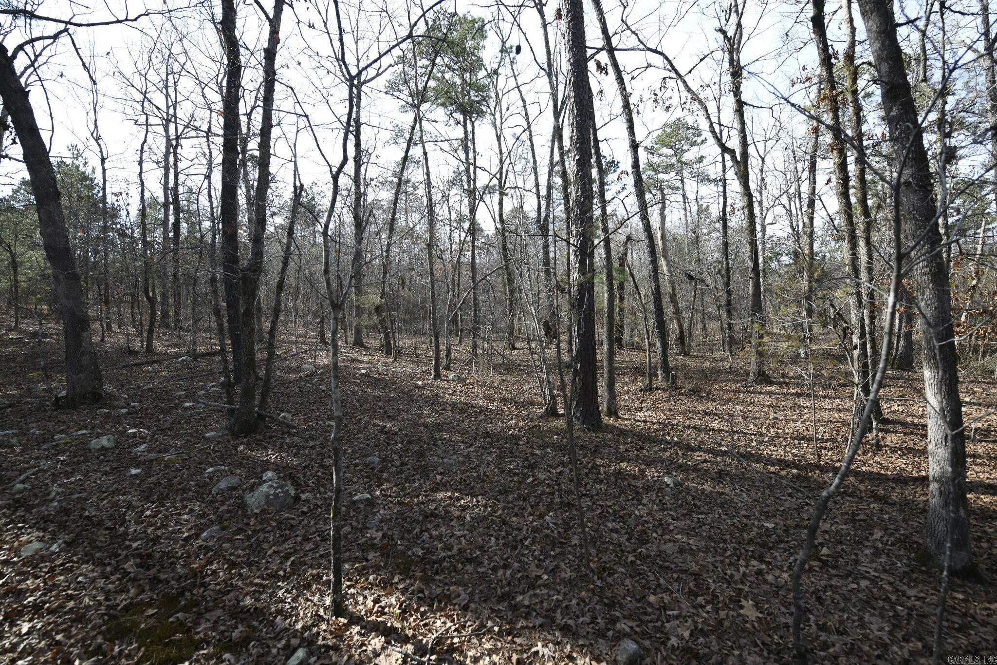 110 Moon Beam Lane  Mena, AR