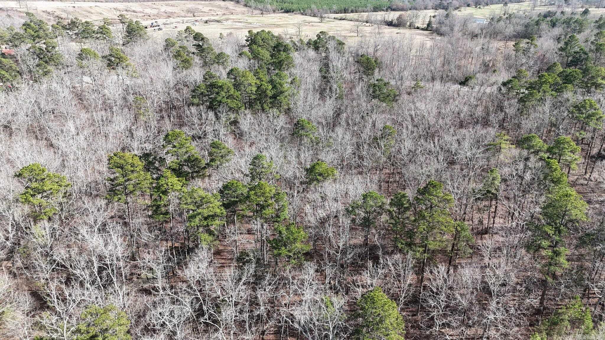 110 Moon Beam Lane  Mena, AR