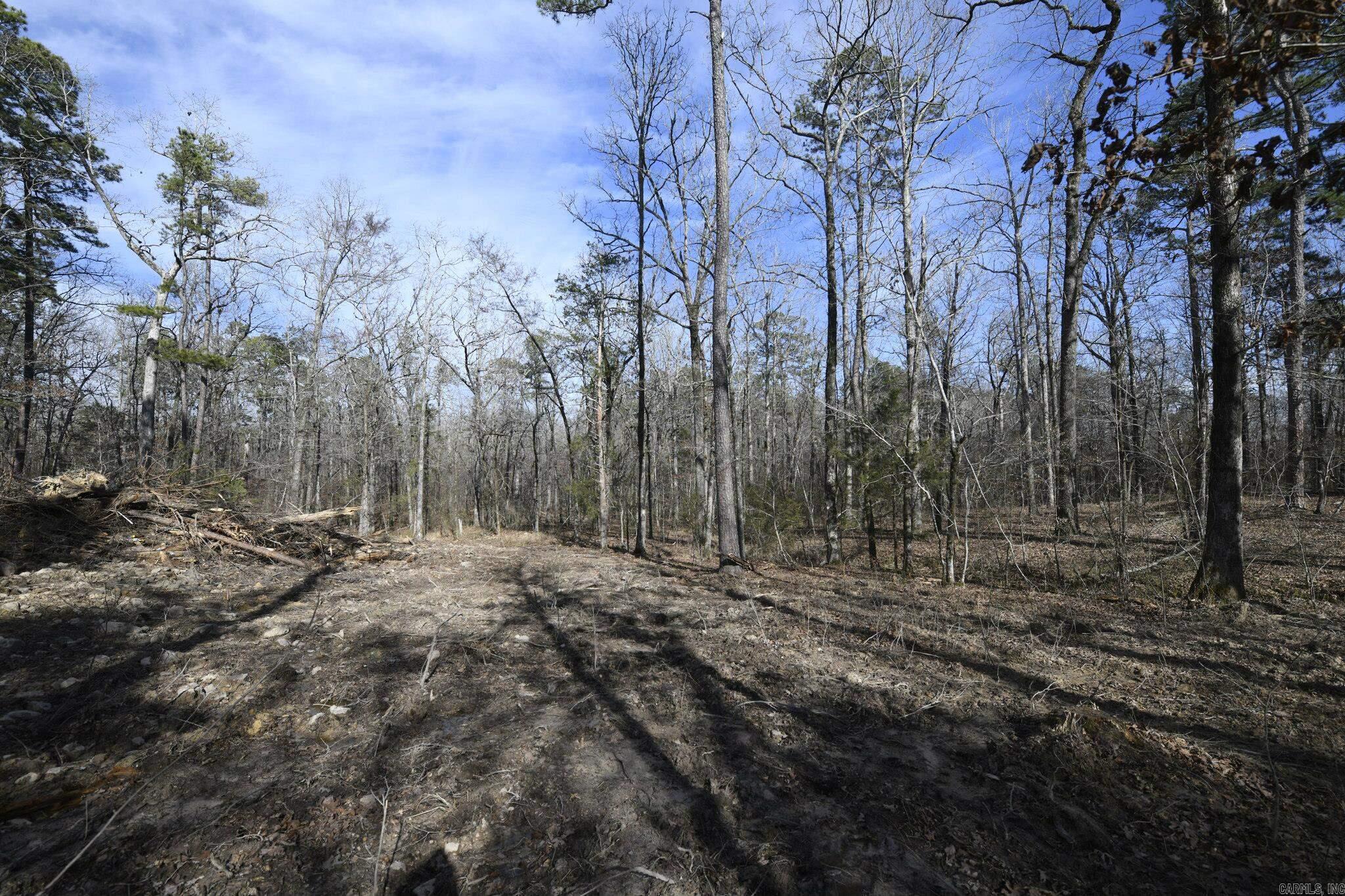 110 Moon Beam Lane  Mena, AR