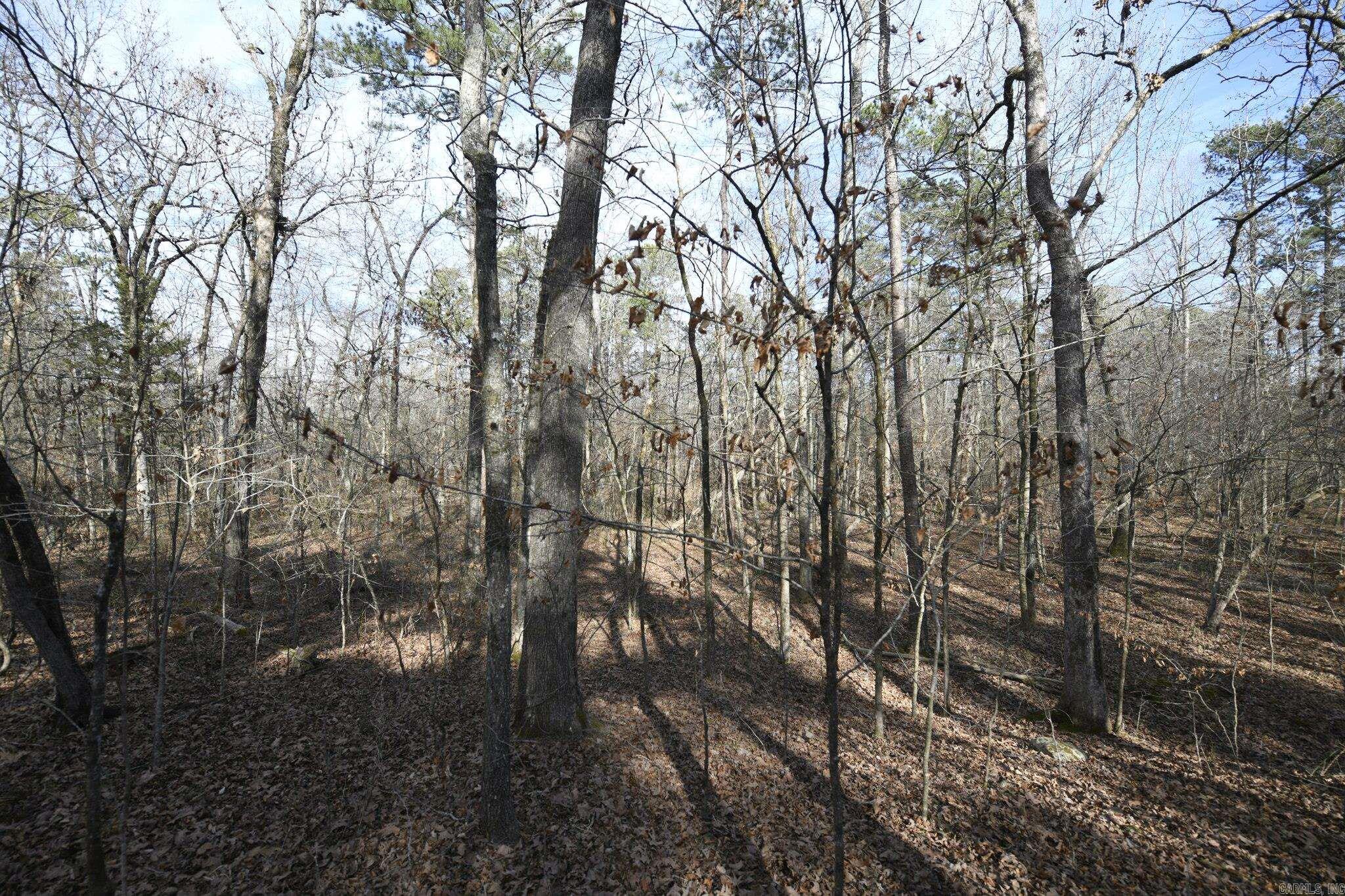 110 Moon Beam Lane  Mena, AR