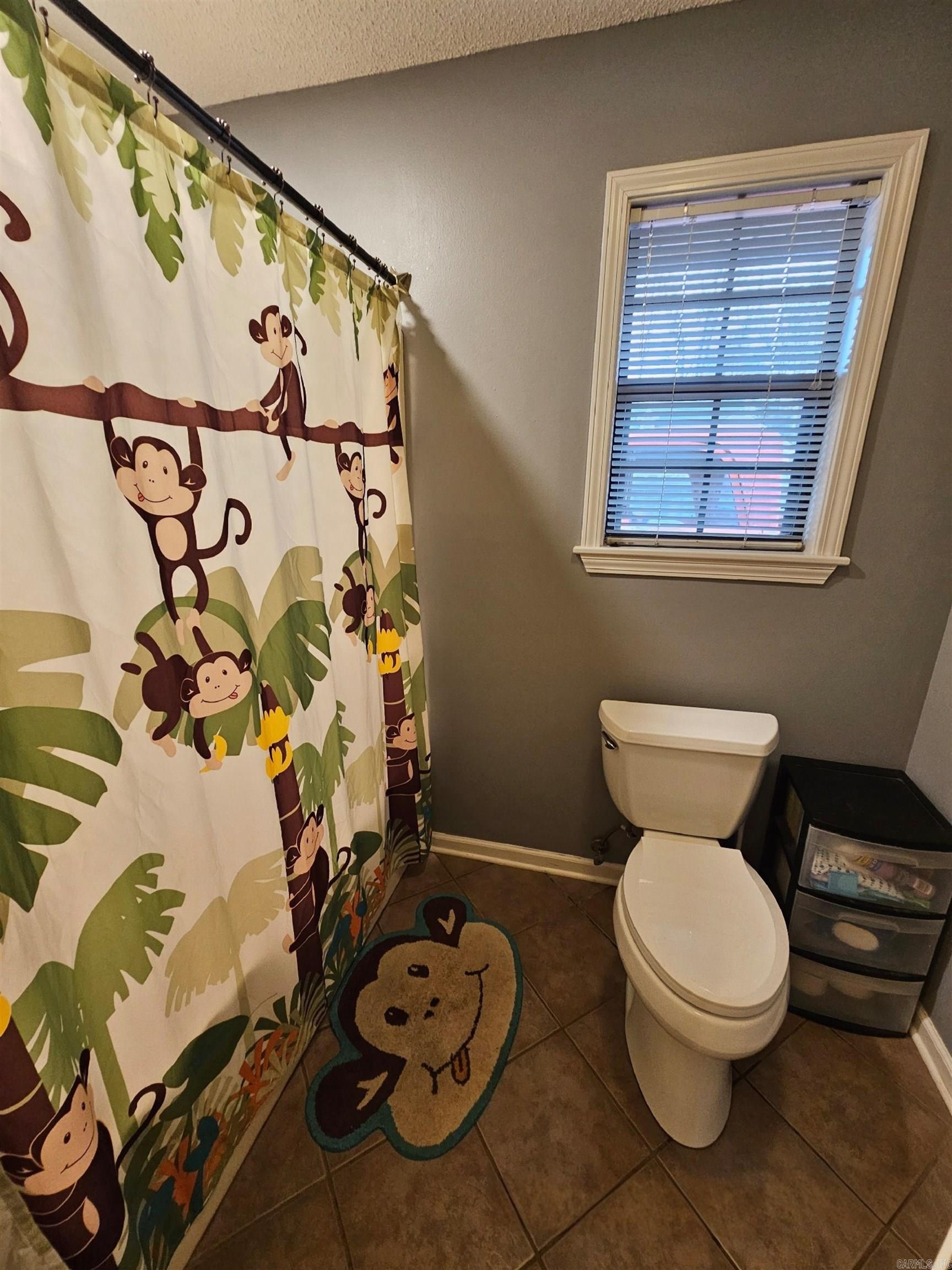 11 Dale Ct  Cabot, AR