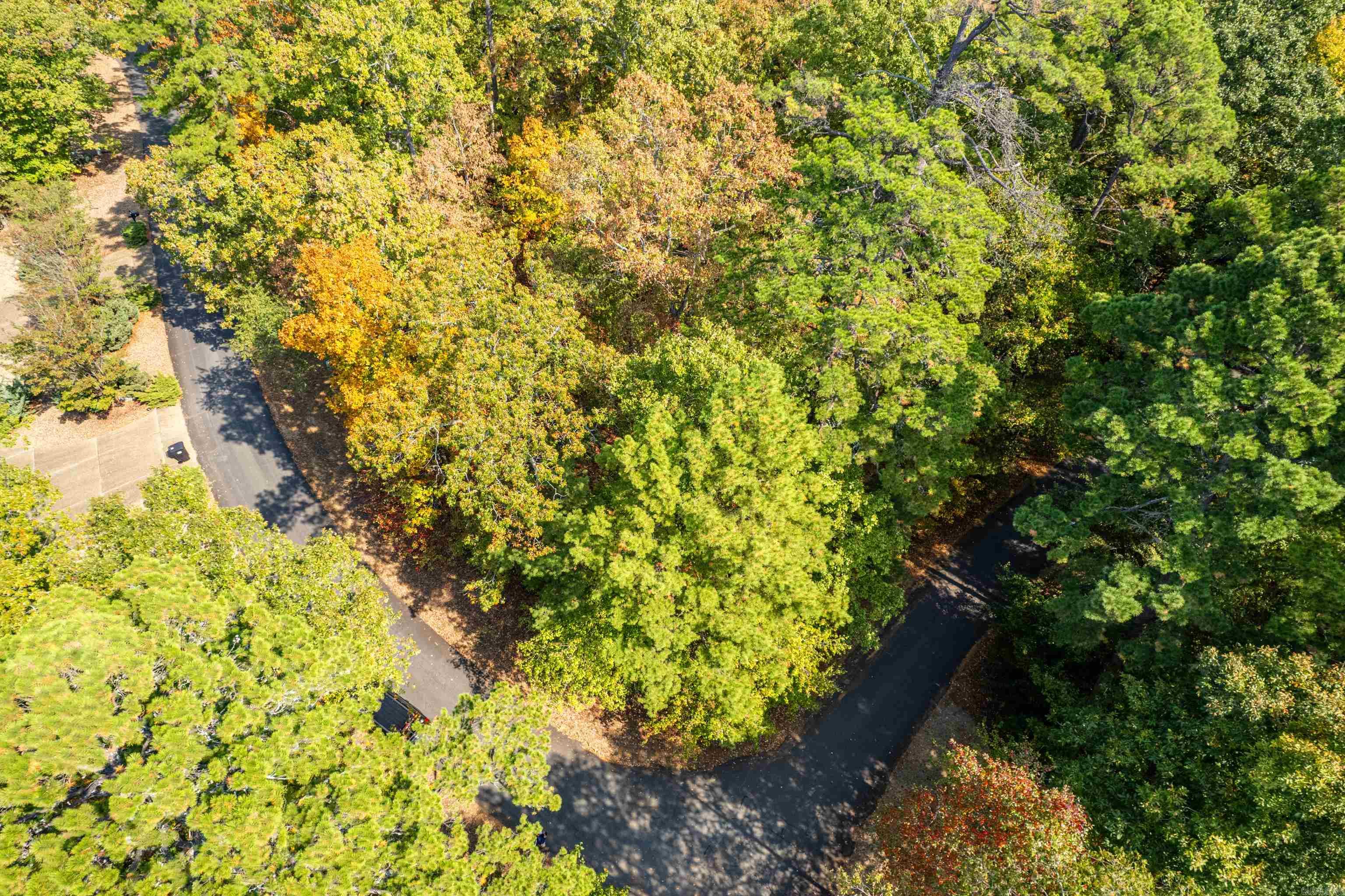 1 Sabiote  Hot Springs Village, AR