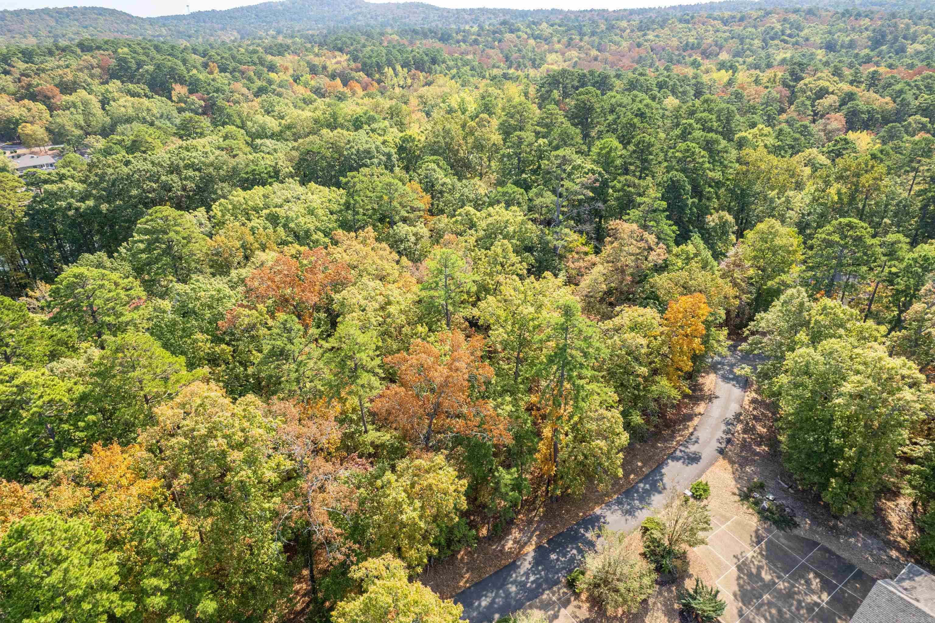 3 Sabiote  Hot Springs Village, AR