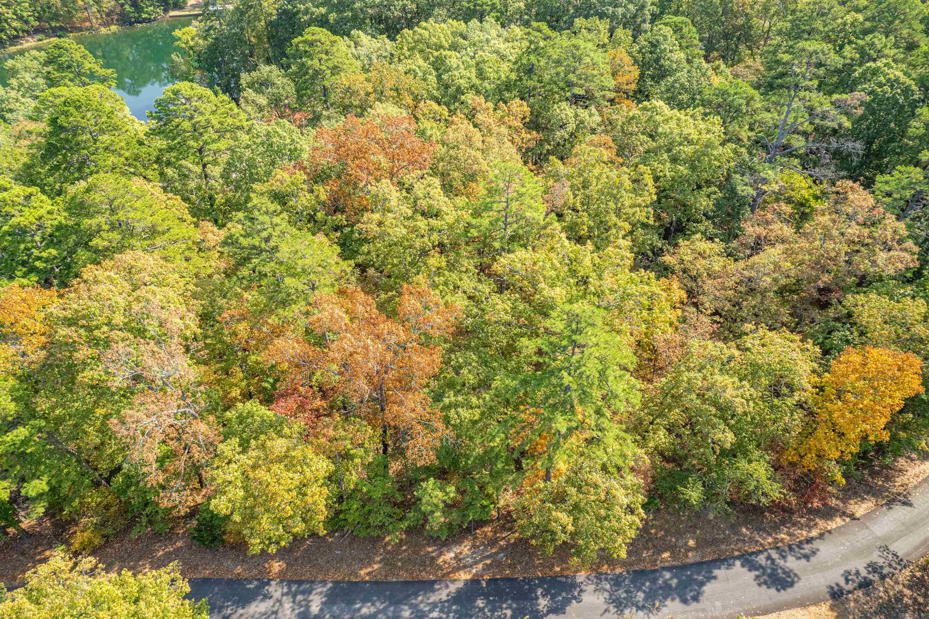 3 Sabiote  Hot Springs Village, AR