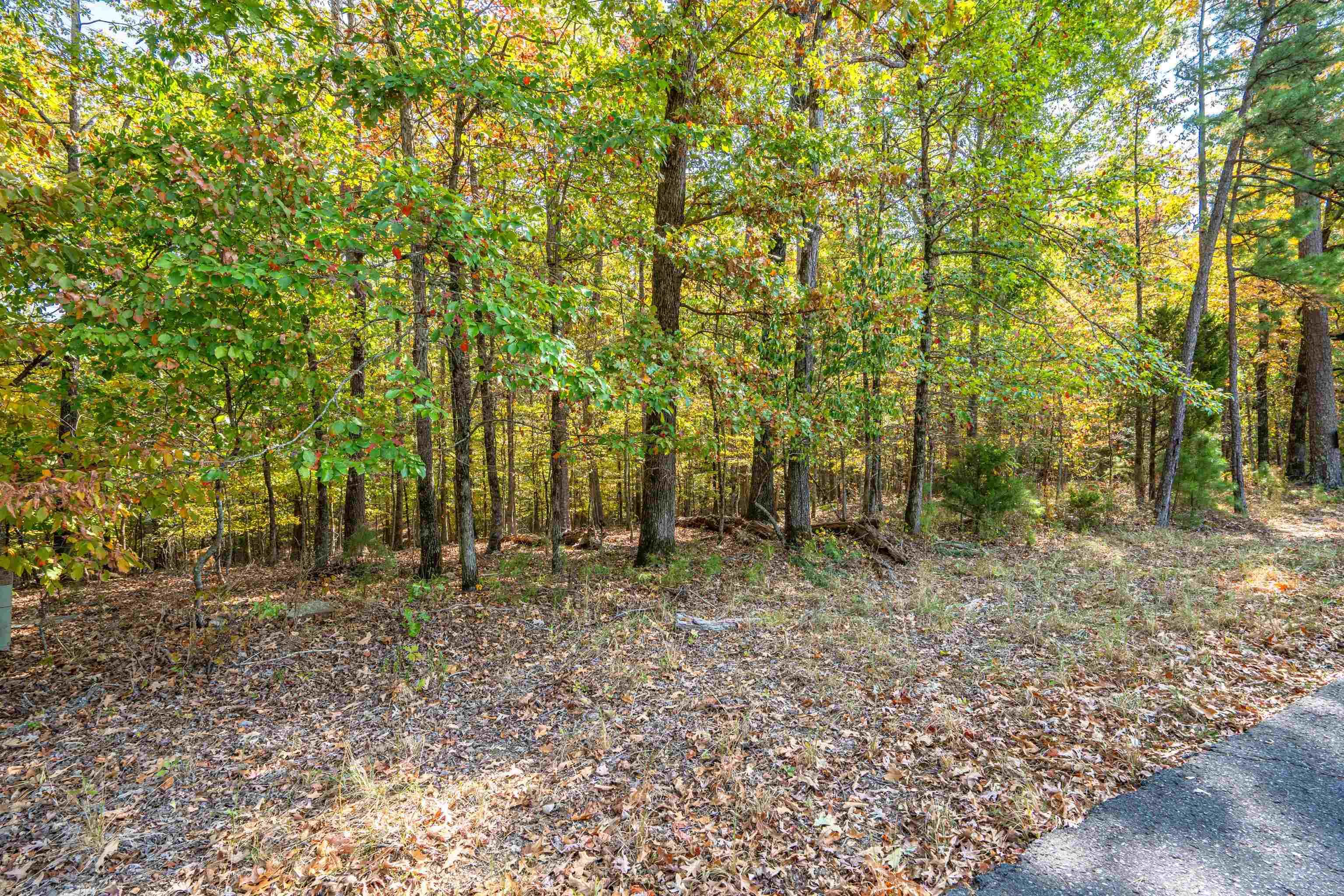 3 Sabiote  Hot Springs Village, AR