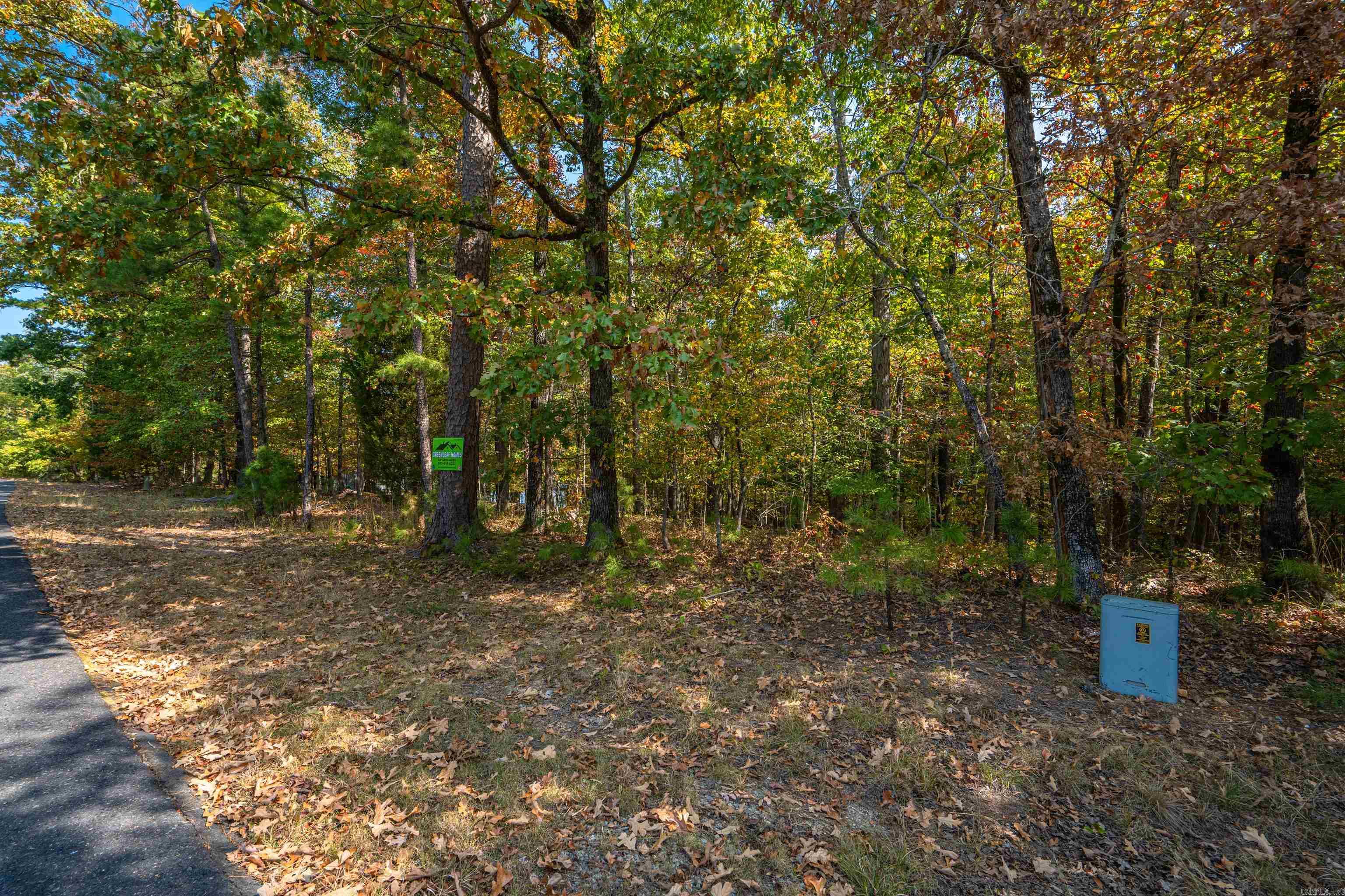 3 Sabiote  Hot Springs Village, AR