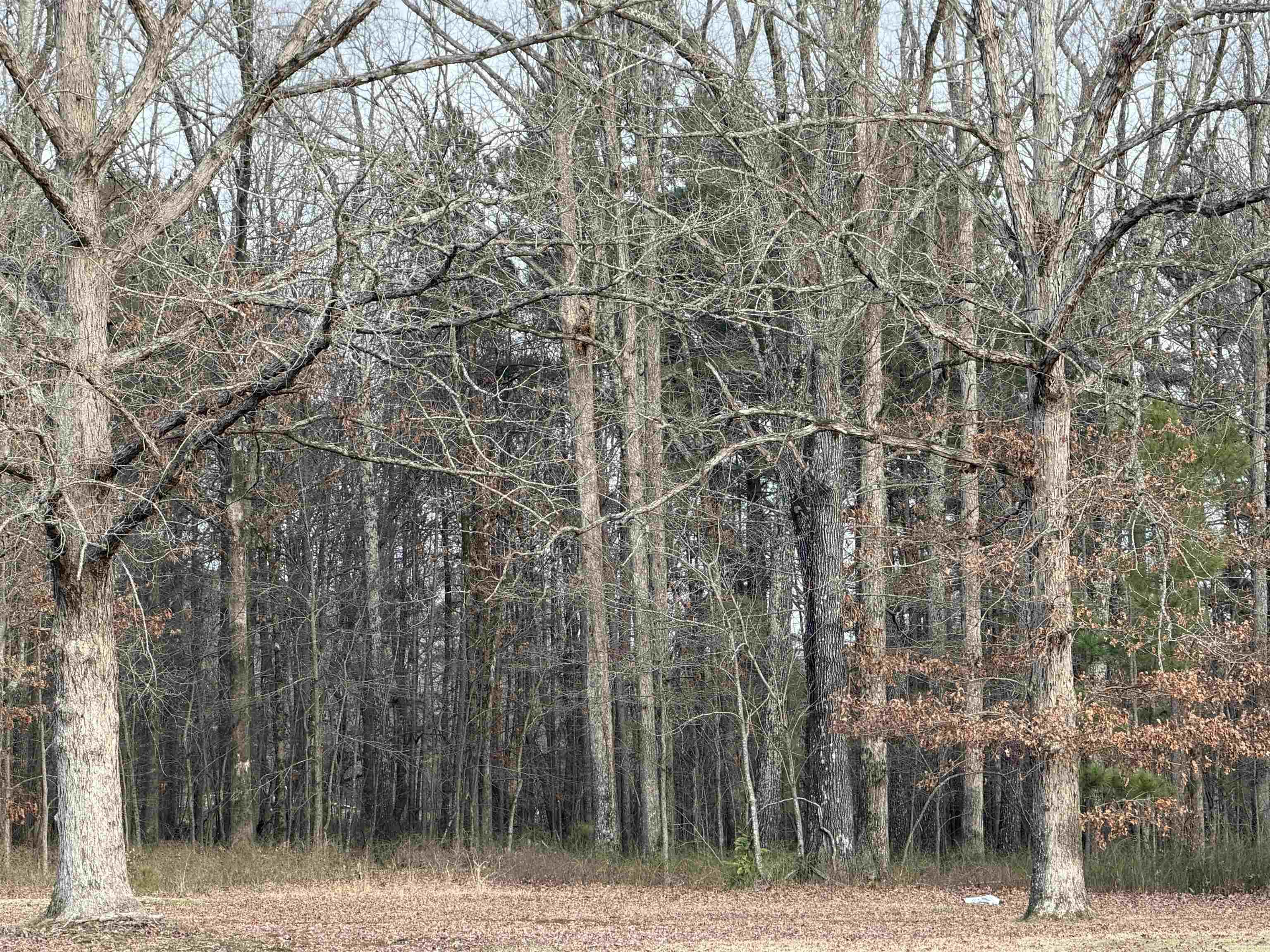 0 McDaniel  White Hall, AR