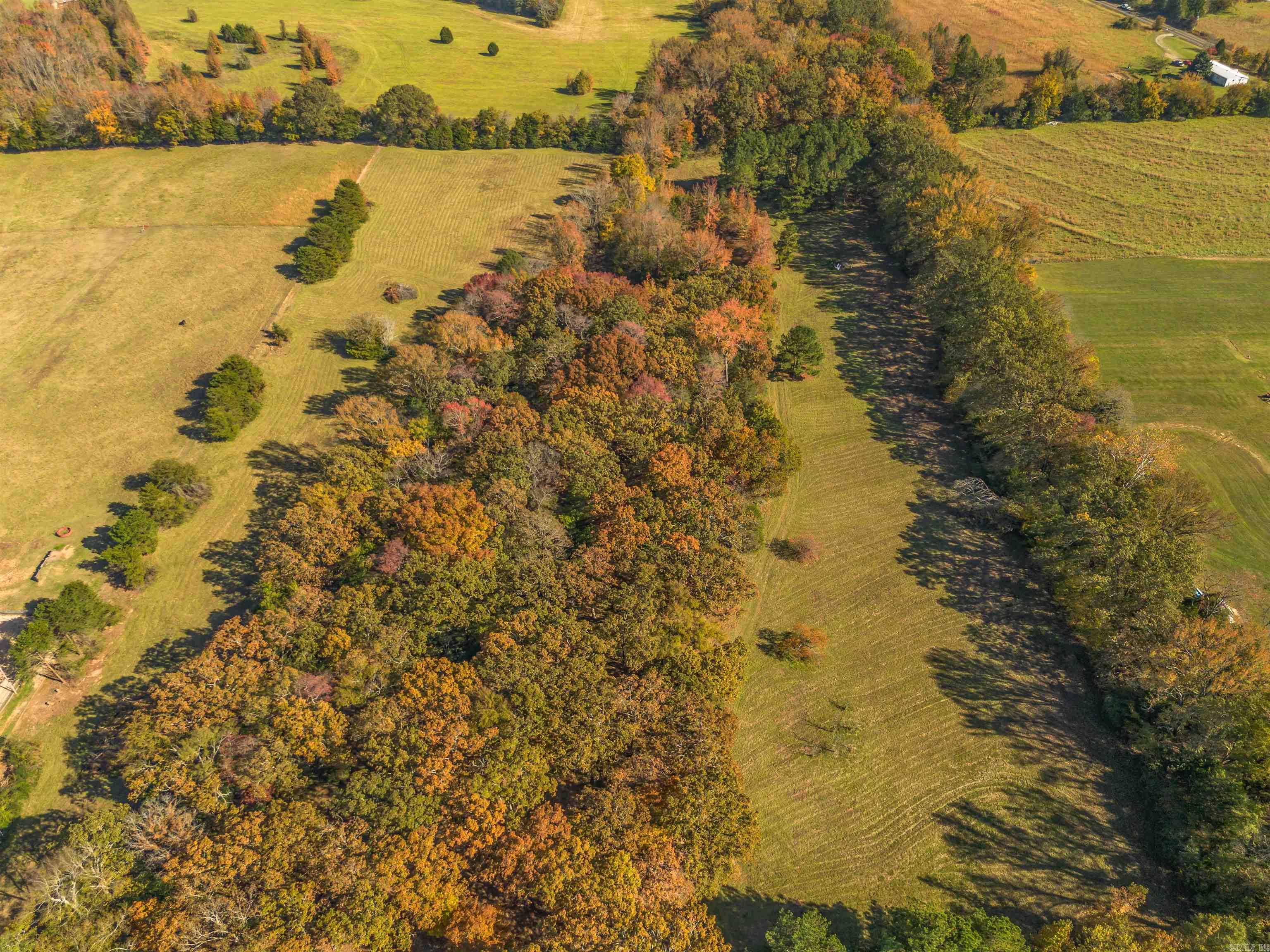 00 Arrowhead Rd  Greenbrier, AR