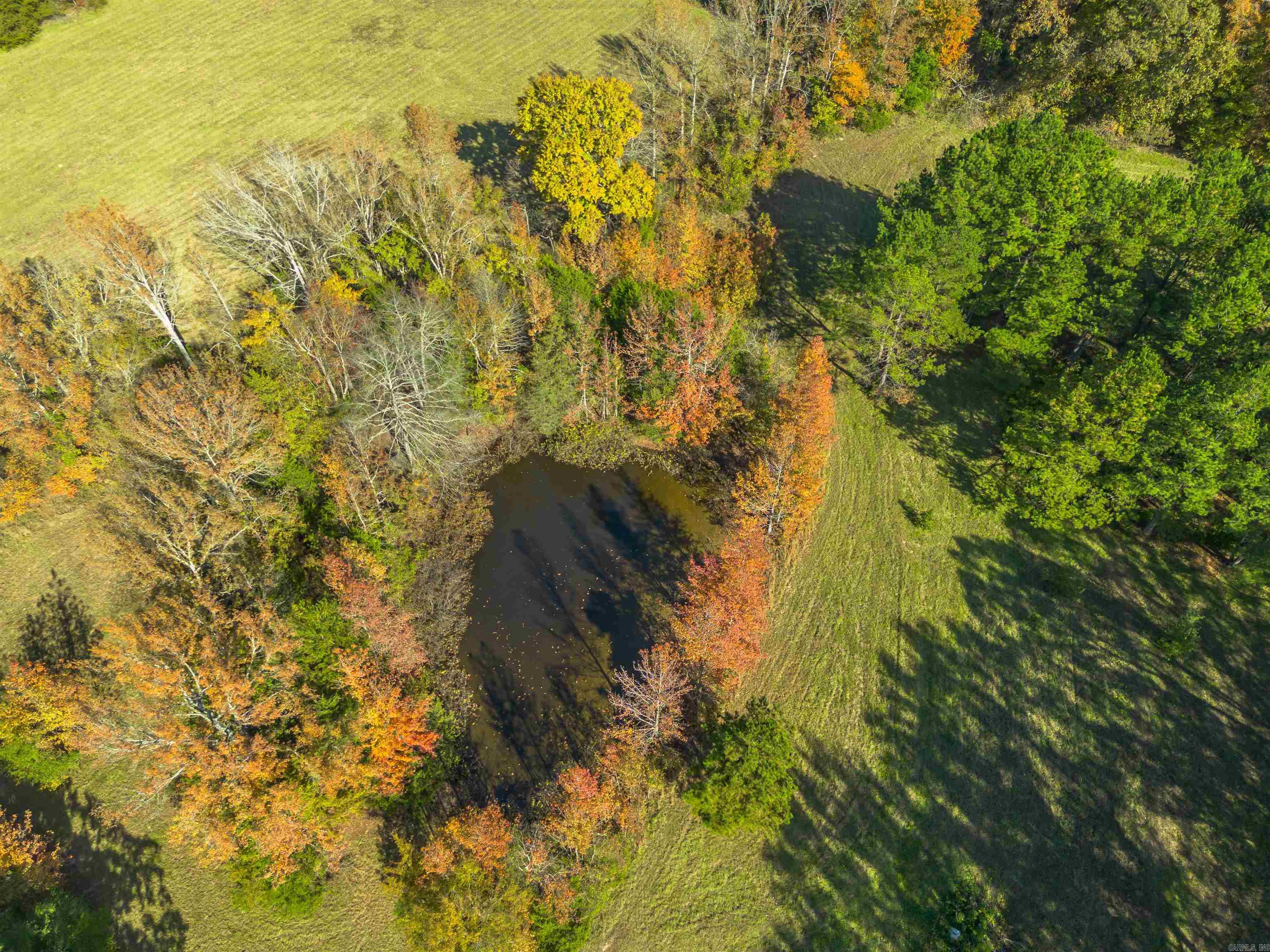 00 Arrowhead Rd  Greenbrier, AR