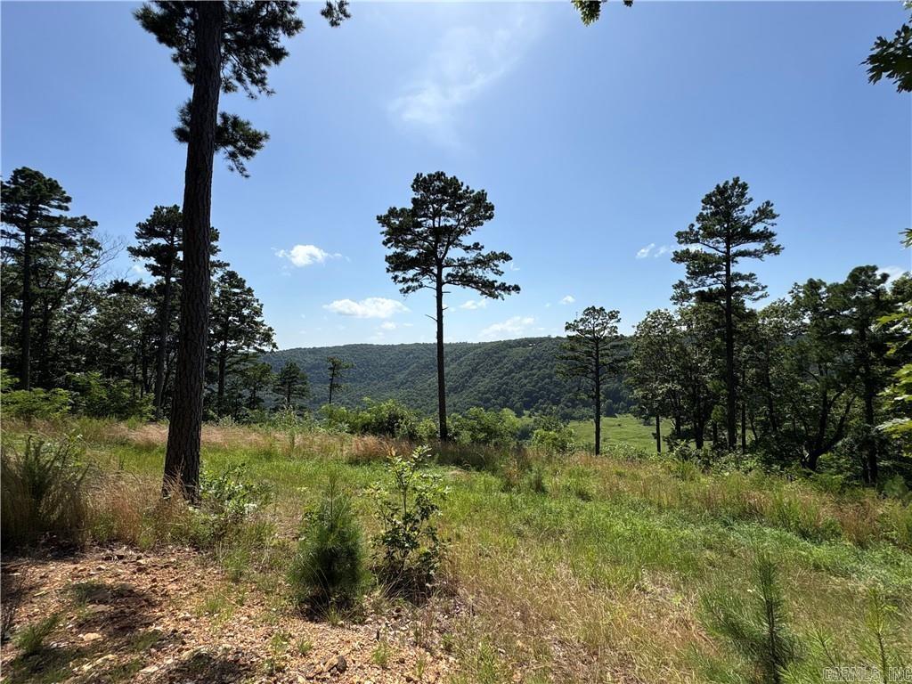 556 NC 6077  Jasper, AR