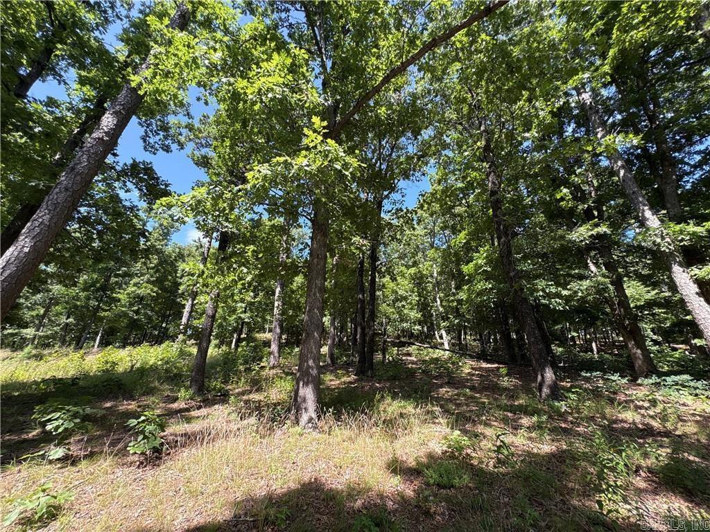 556 NC 6077  Jasper, AR