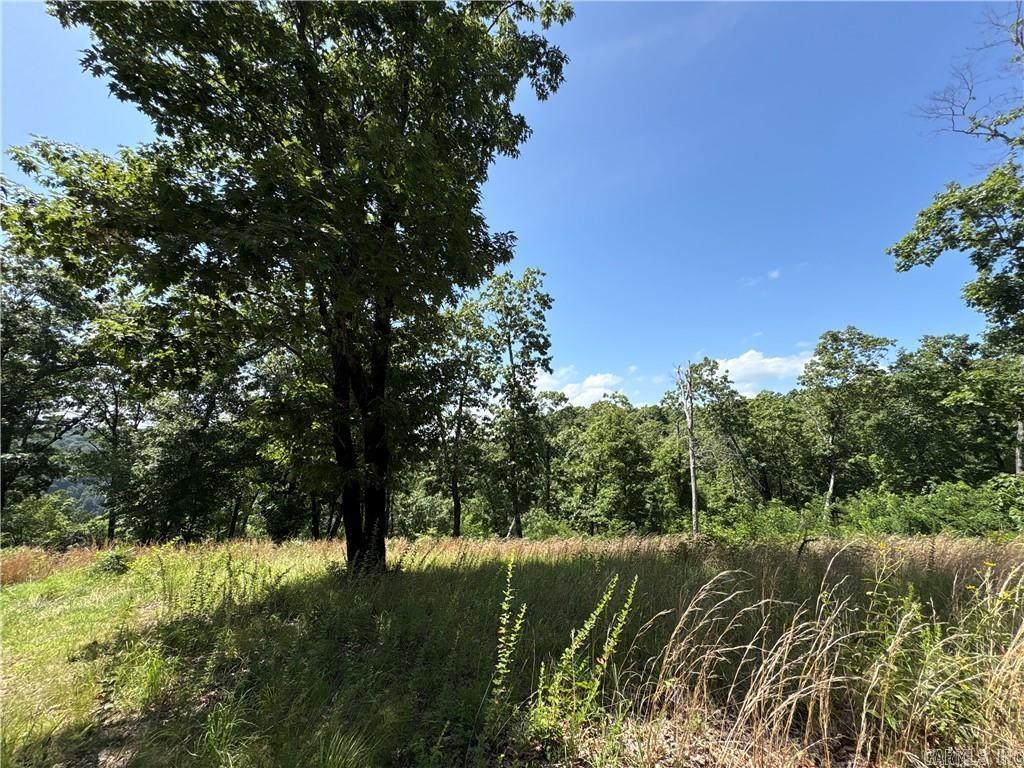 556 NC 6077  Jasper, AR