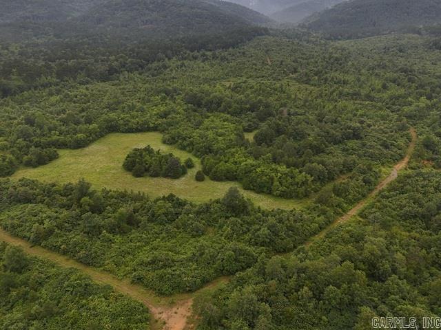 Unk Polk Road 72  Mena, AR