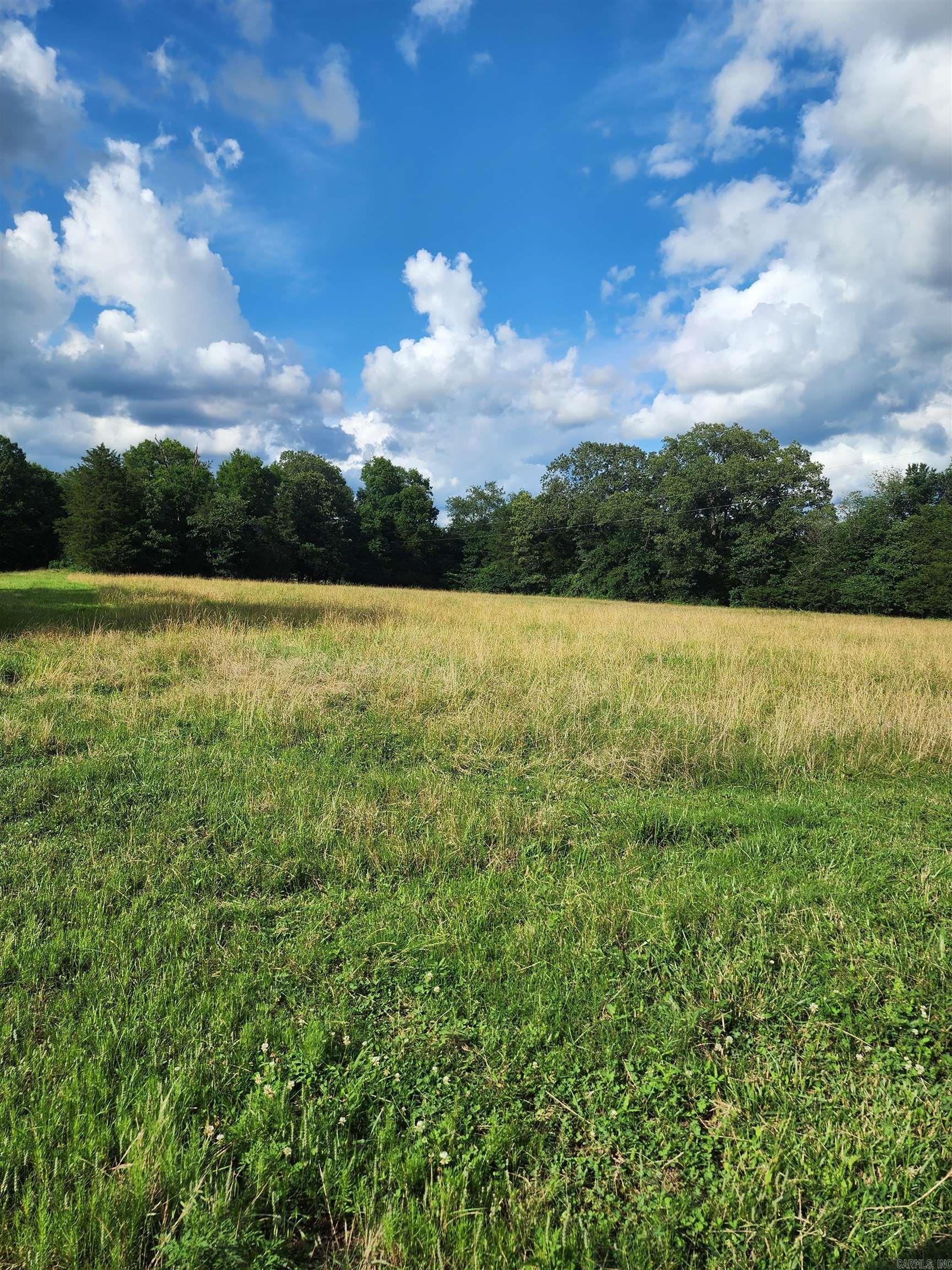 Unk Polk Road 72  Mena, AR