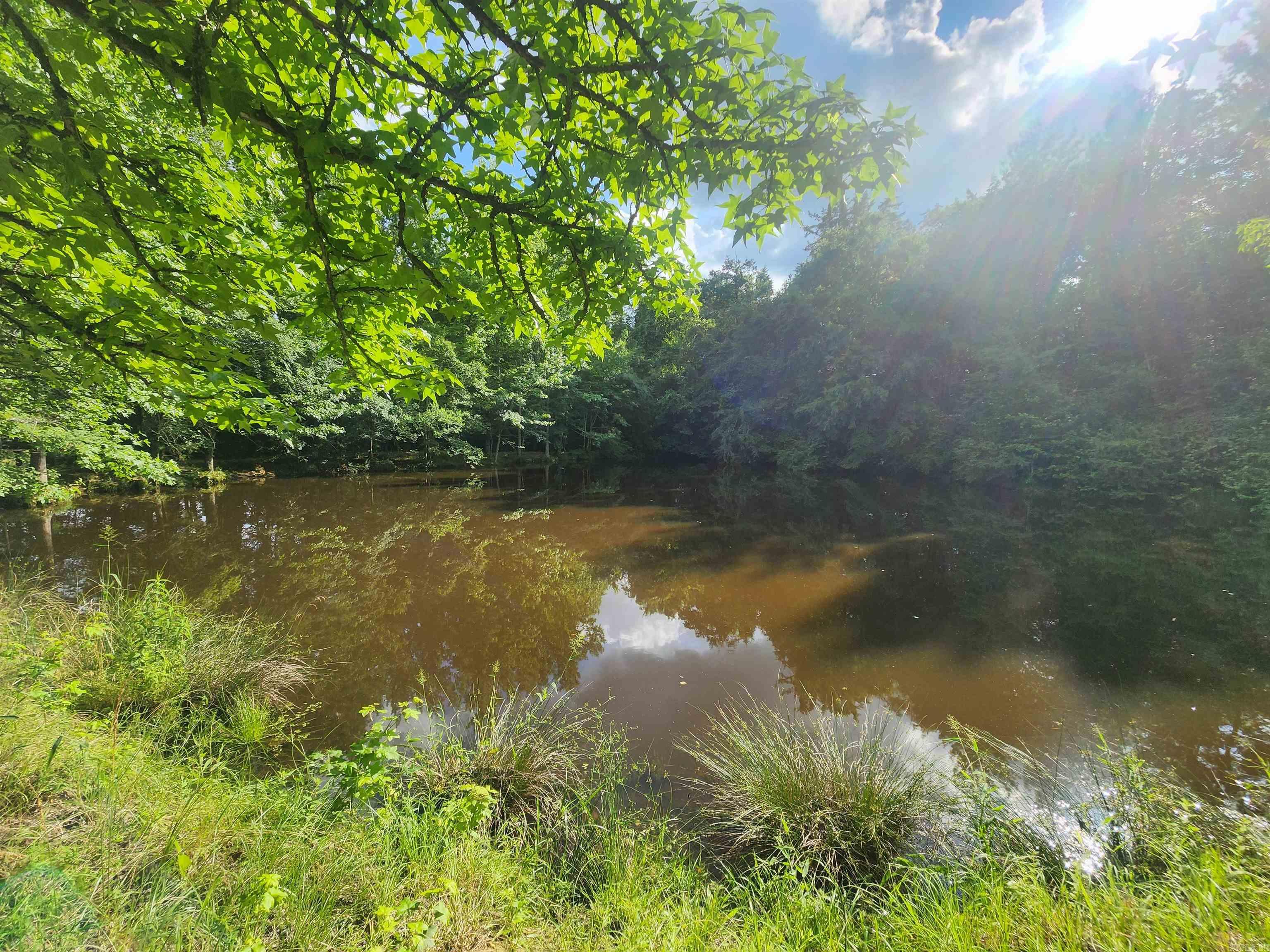 Unk Polk Road 72  Mena, AR