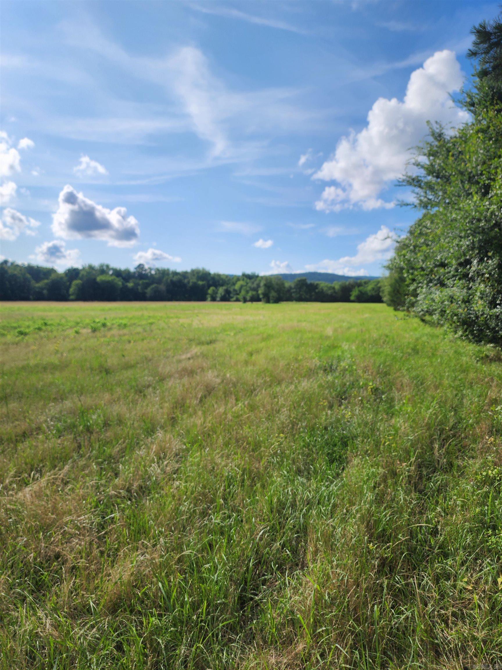 Unk Polk Road 72  Mena, AR