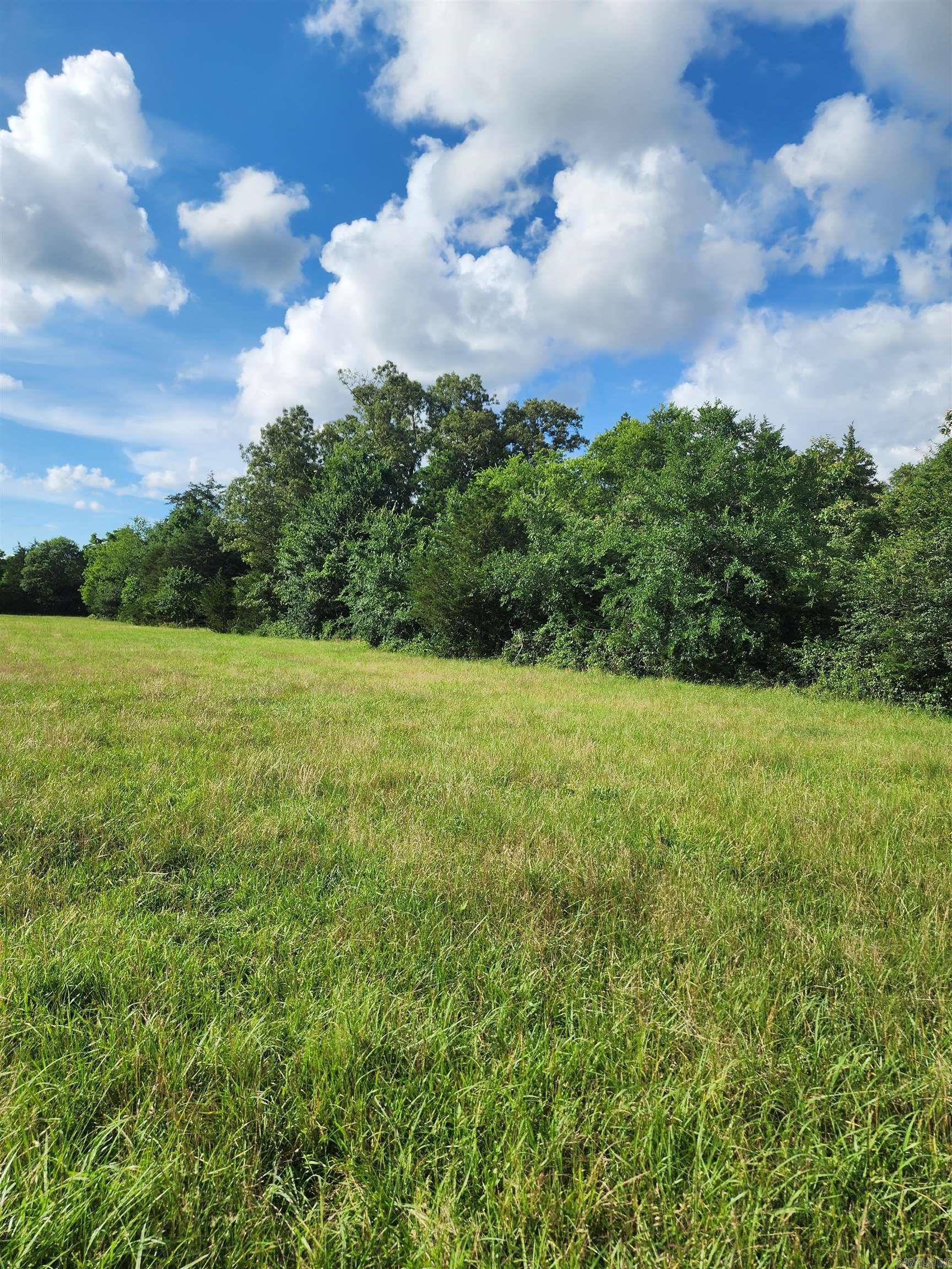 Unk Polk Road 72  Mena, AR