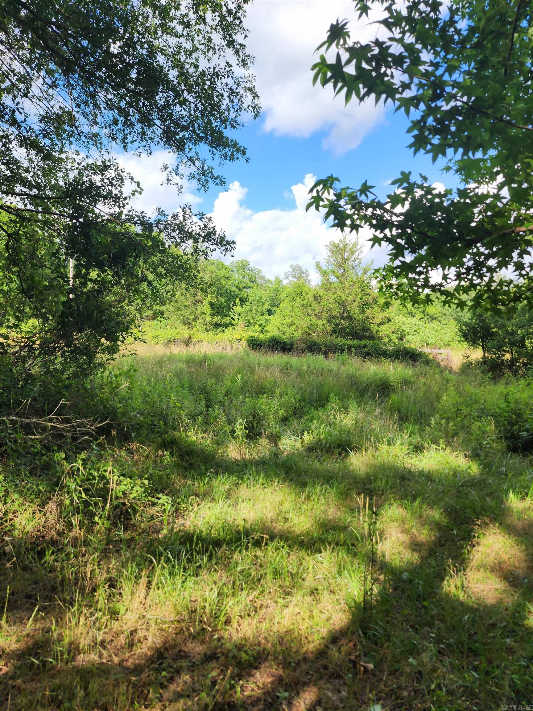 Unk Polk Road 72  Mena, AR