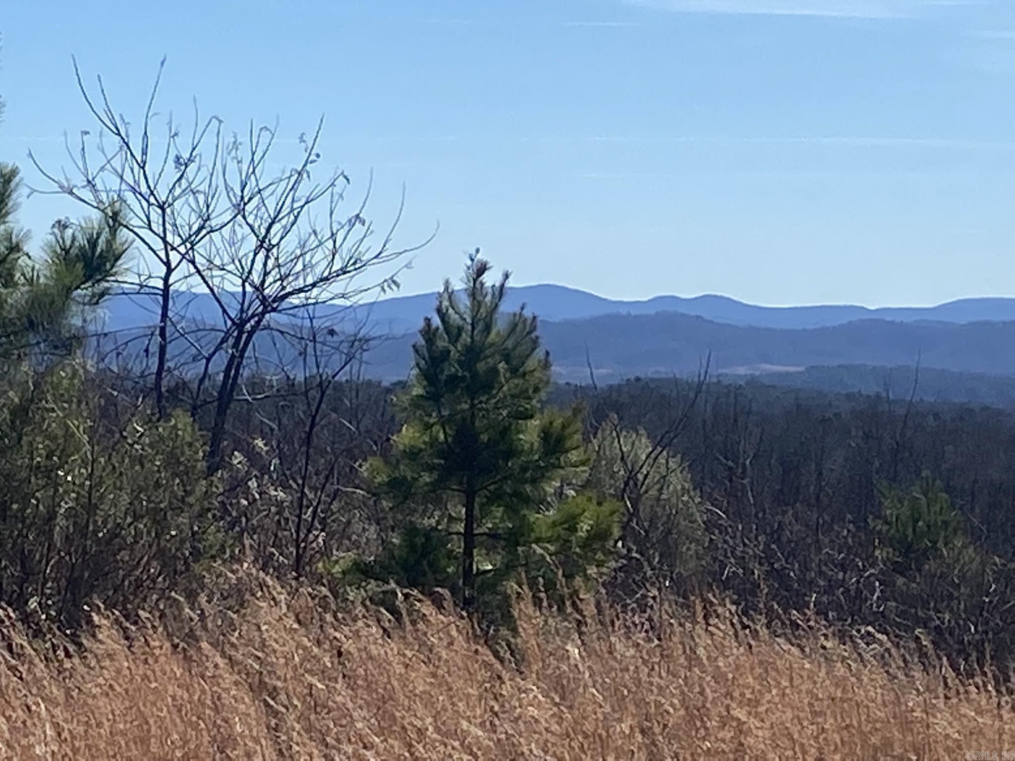 Unk Polk Road 72  Mena, AR