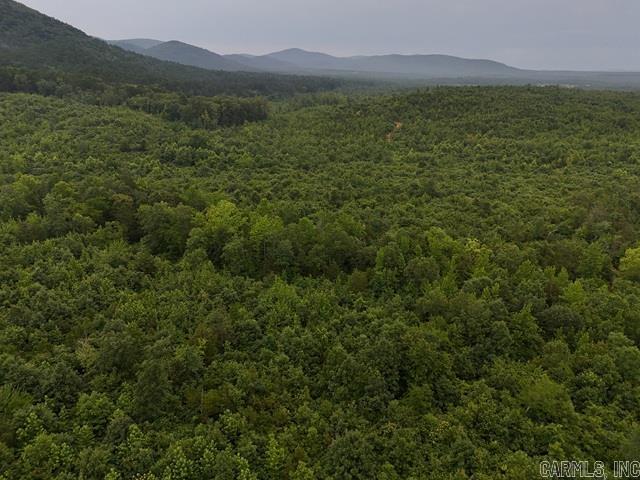 Unk Polk Road 72  Mena, AR