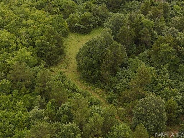 Unk Polk Road 72  Mena, AR