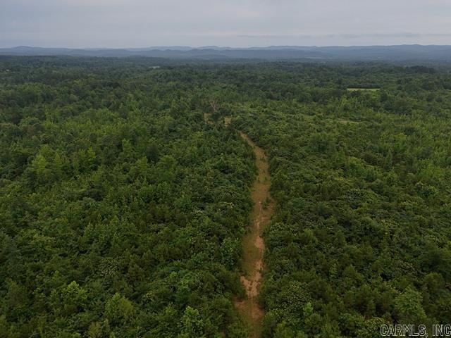 Unk Polk Road 72  Mena, AR